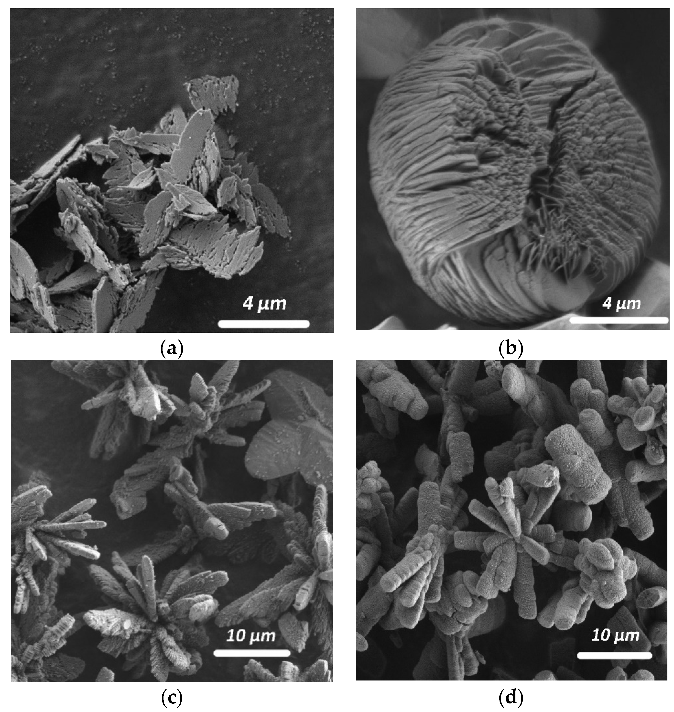 Molecules 26 05030 g003