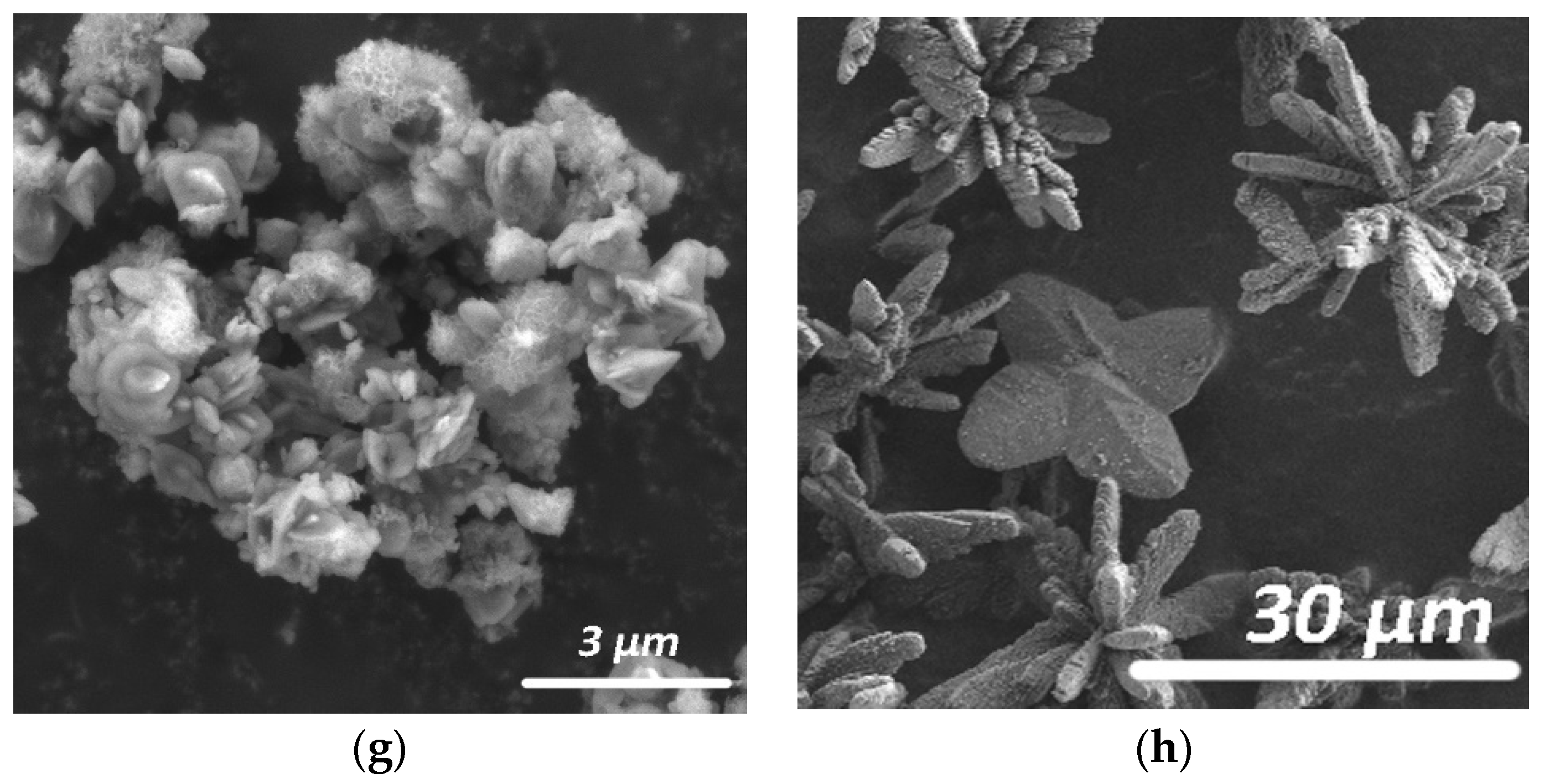Molecules 26 05030 g004b
