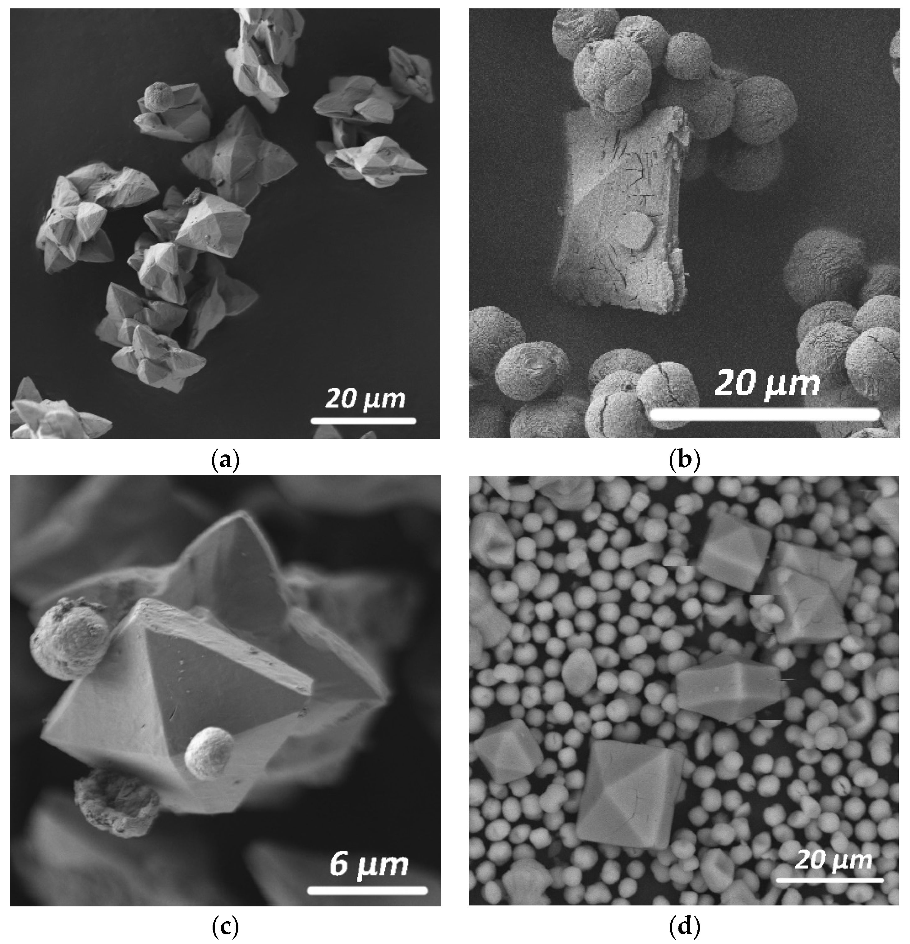 Molecules 26 05030 g005