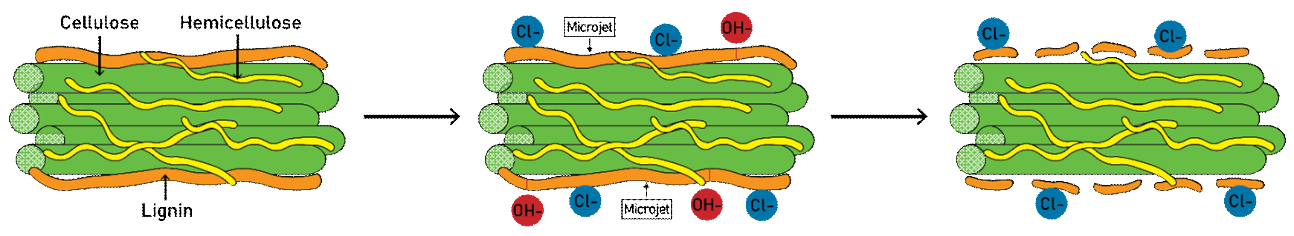 Molecules 26 05037 g004