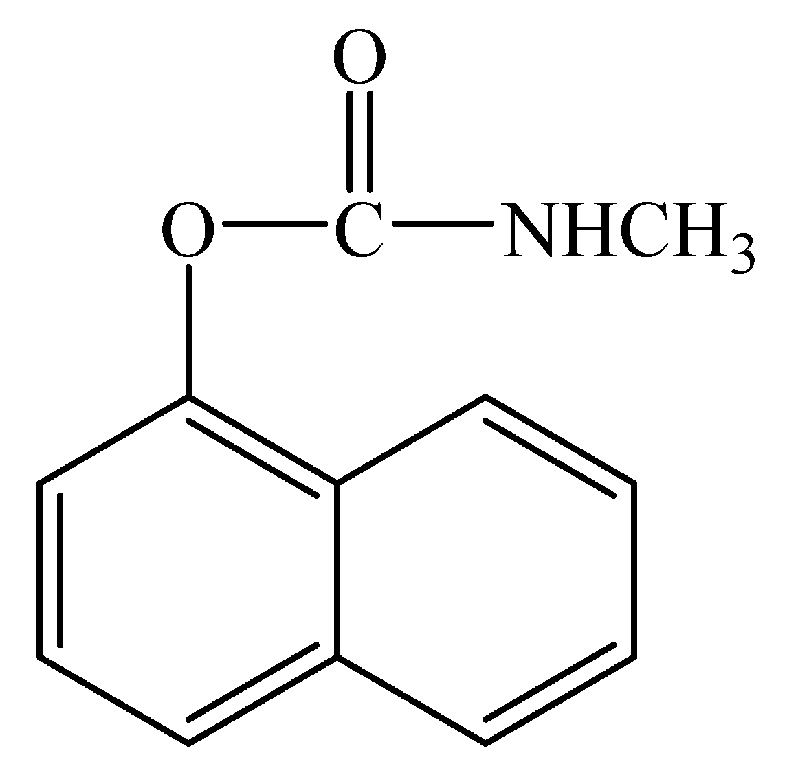 Molecules 26 05050 g001 Molecules 26 05050 g001