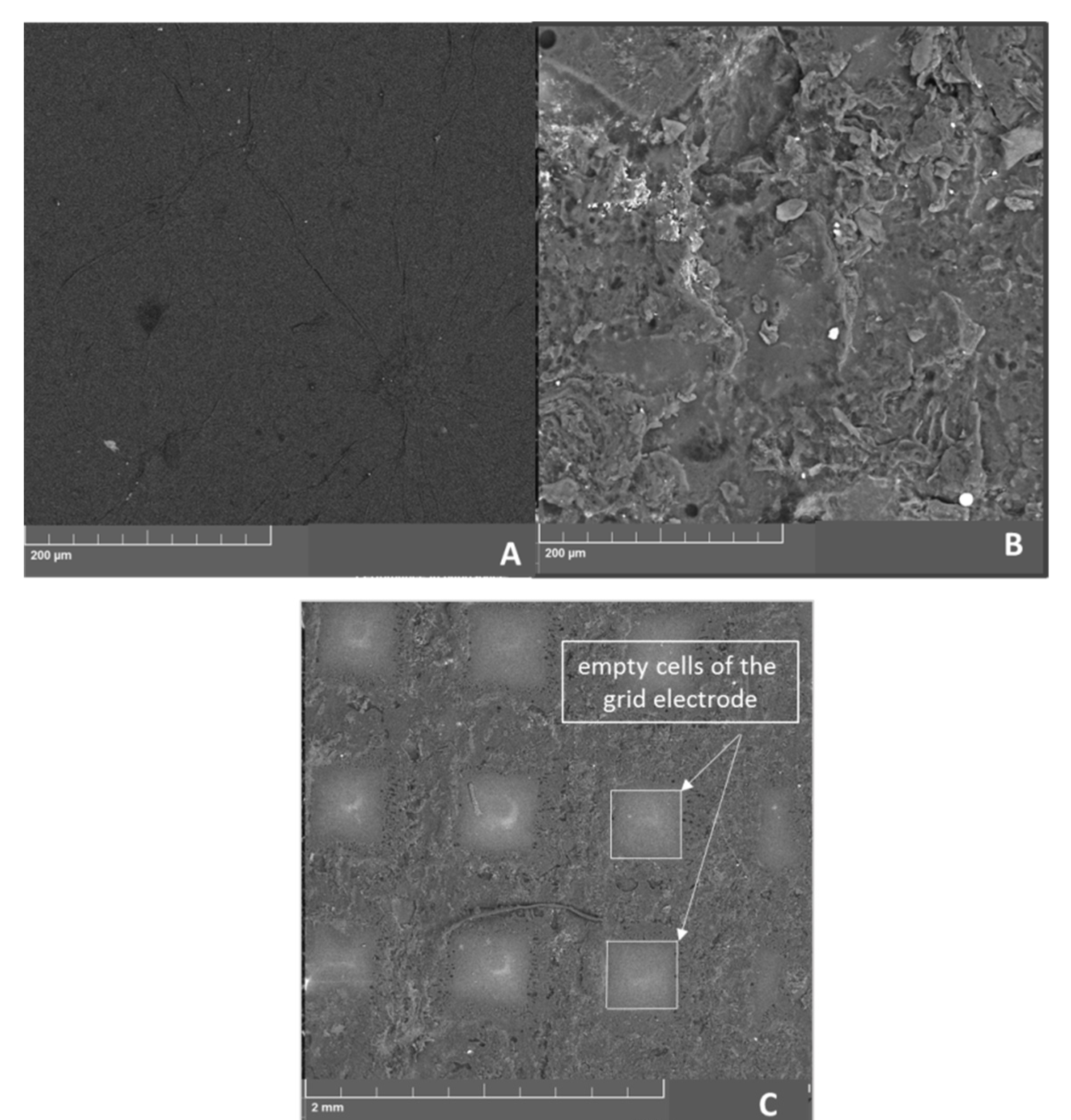 Molecules 26 05050 g002 Molecules 26 05050 g002