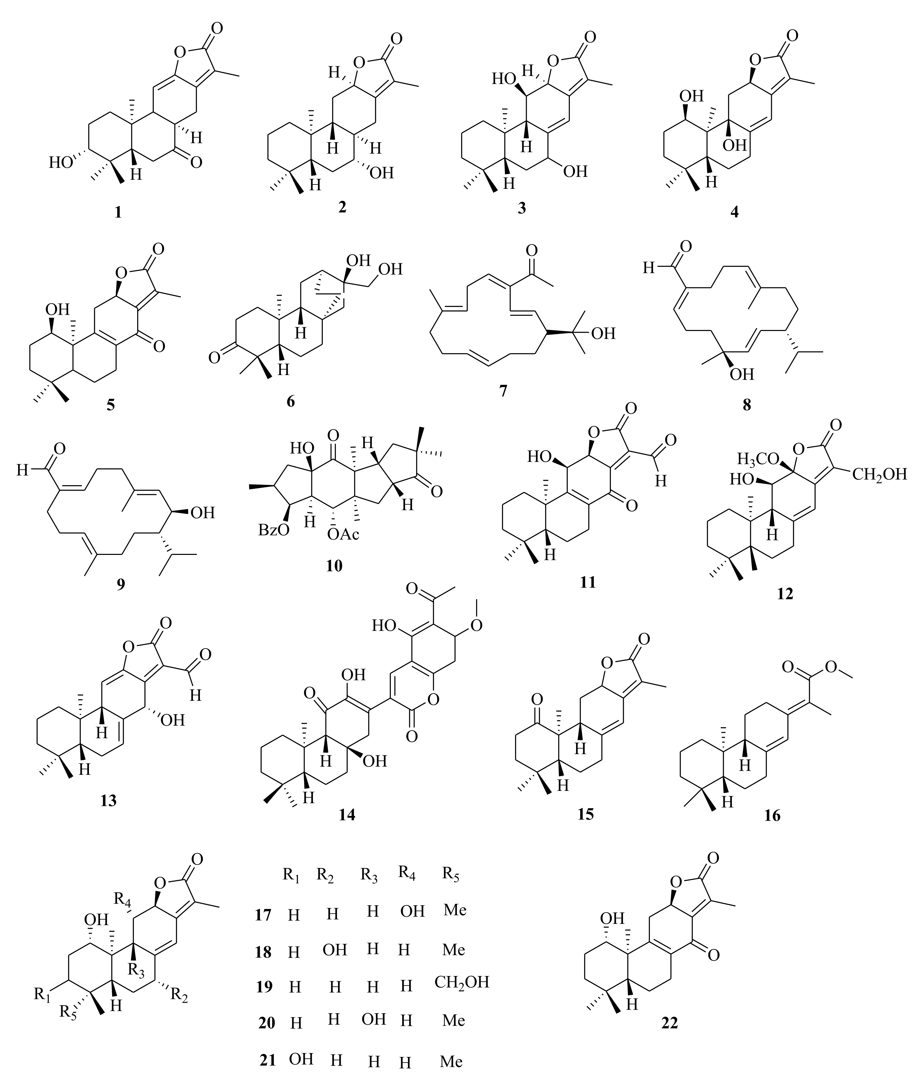 Molecules 26 05055 g001