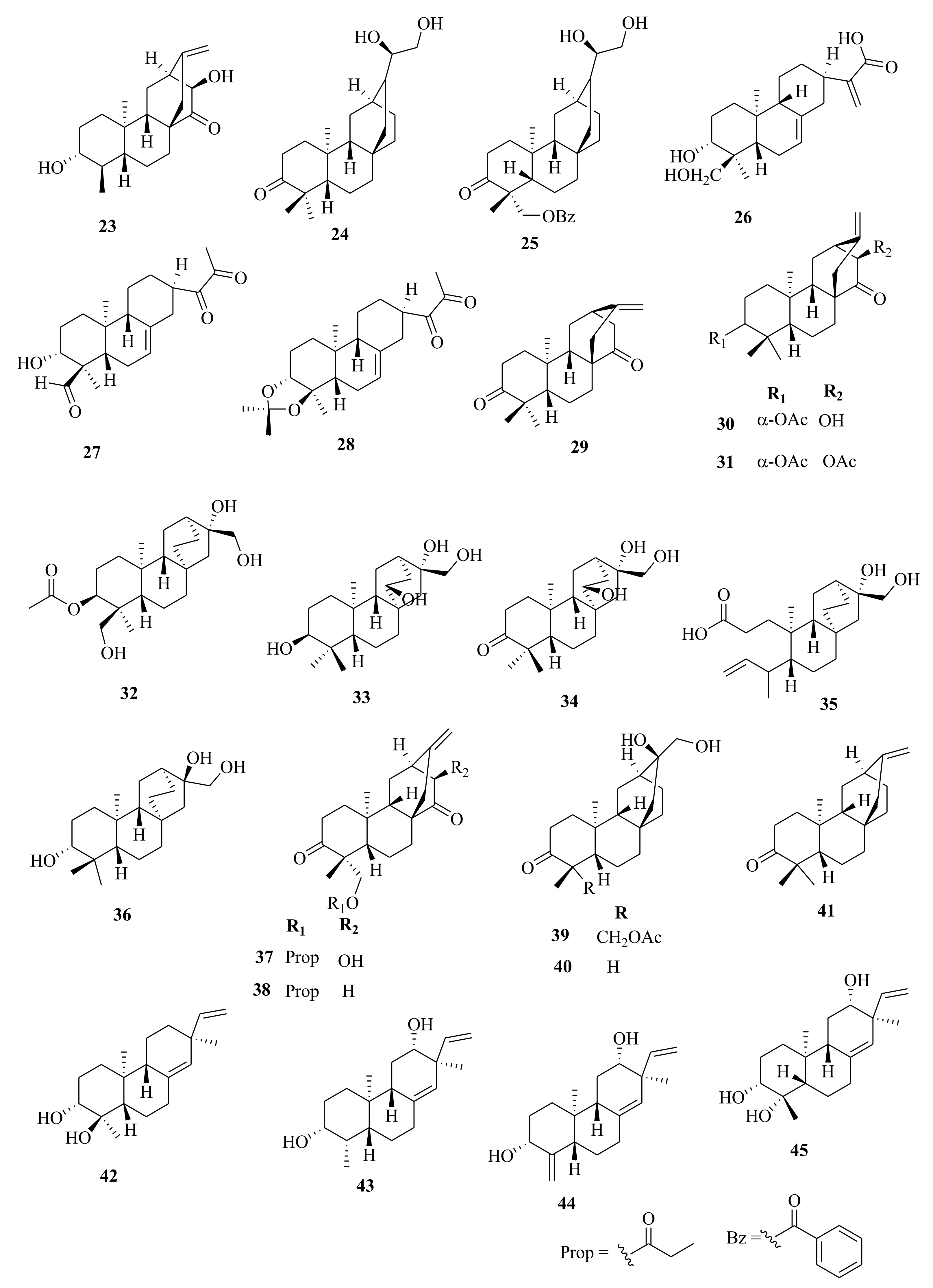 Molecules 26 05055 g002
