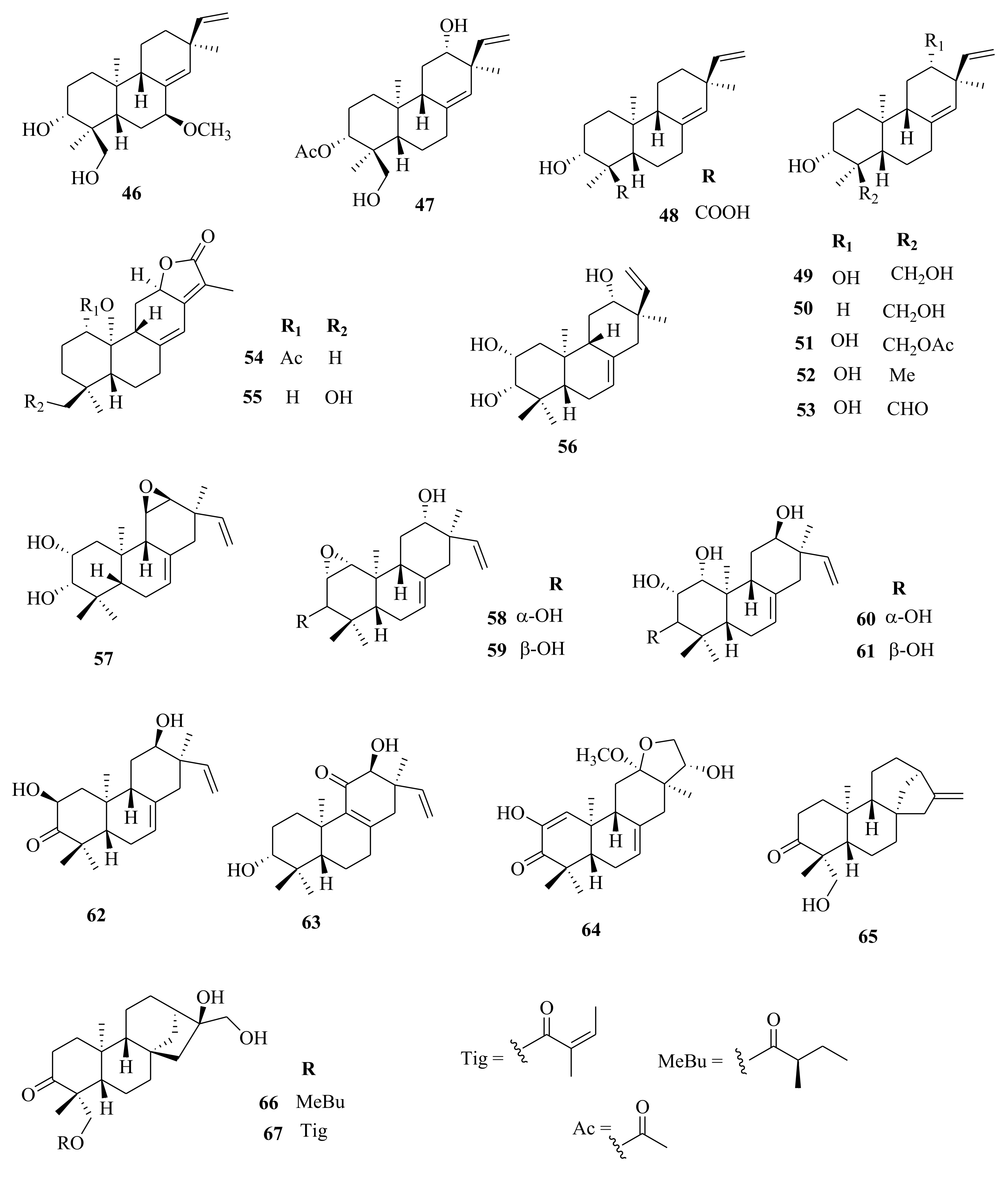 Molecules 26 05055 g003
