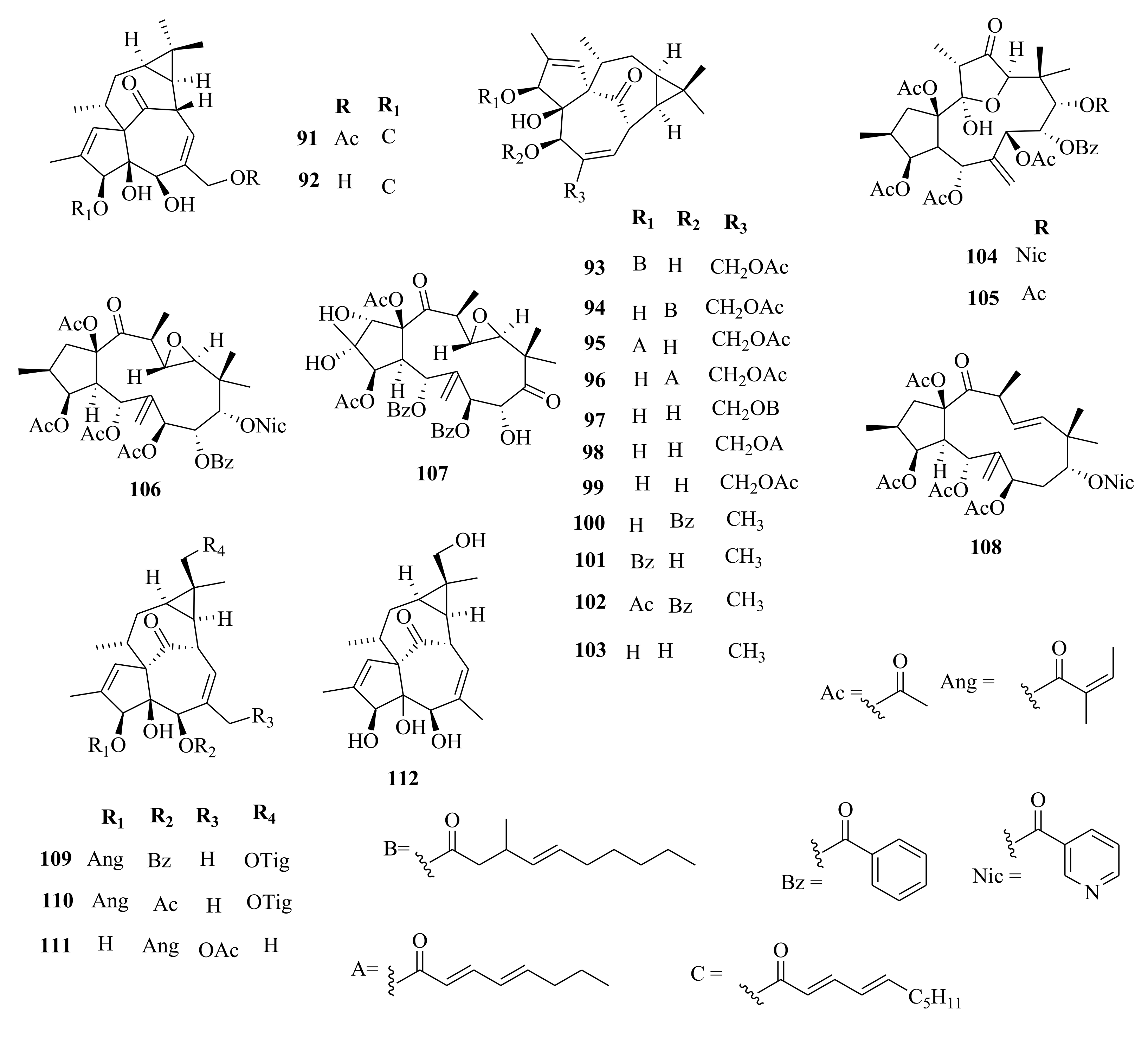 Molecules 26 05055 g005