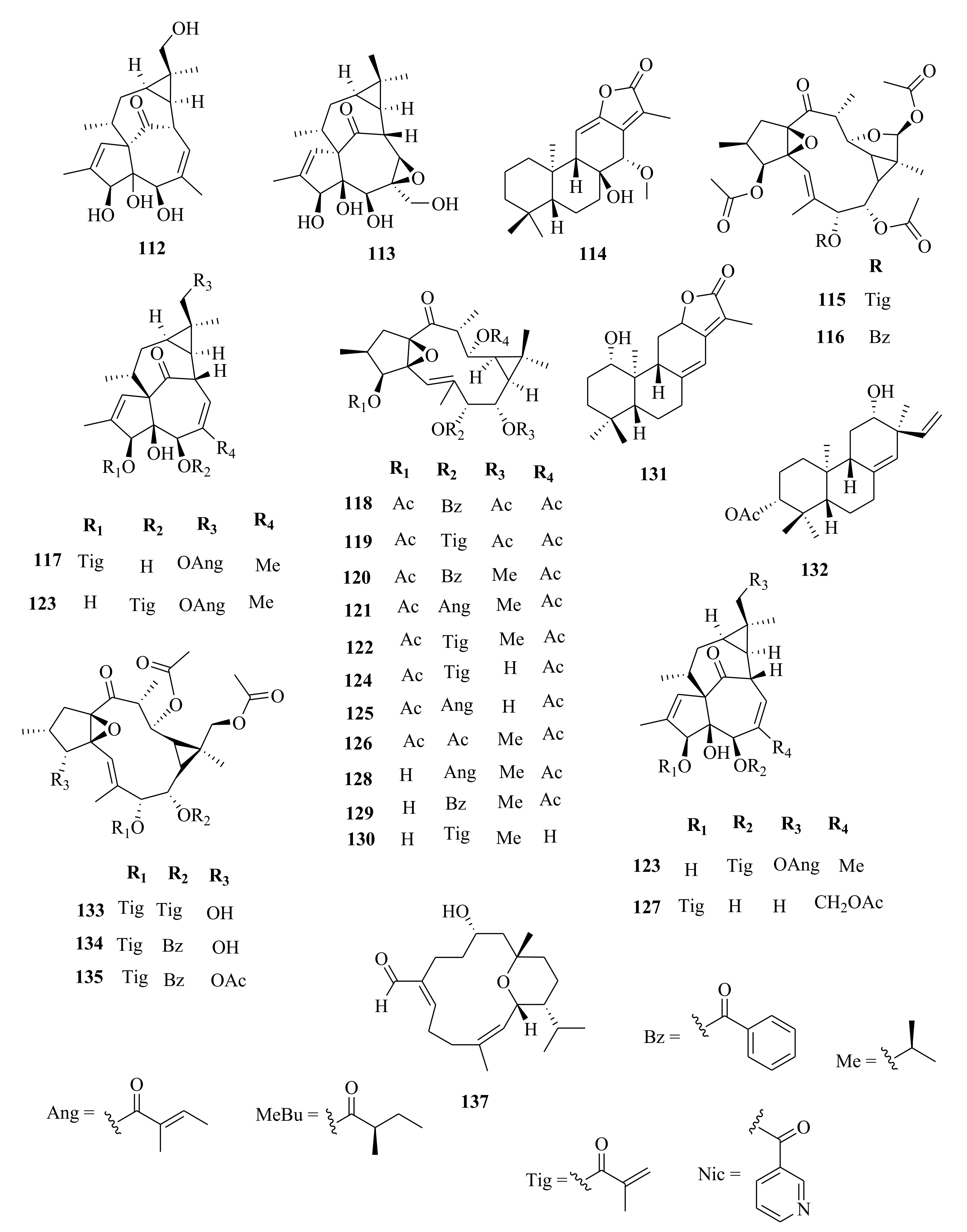 Molecules 26 05055 g006