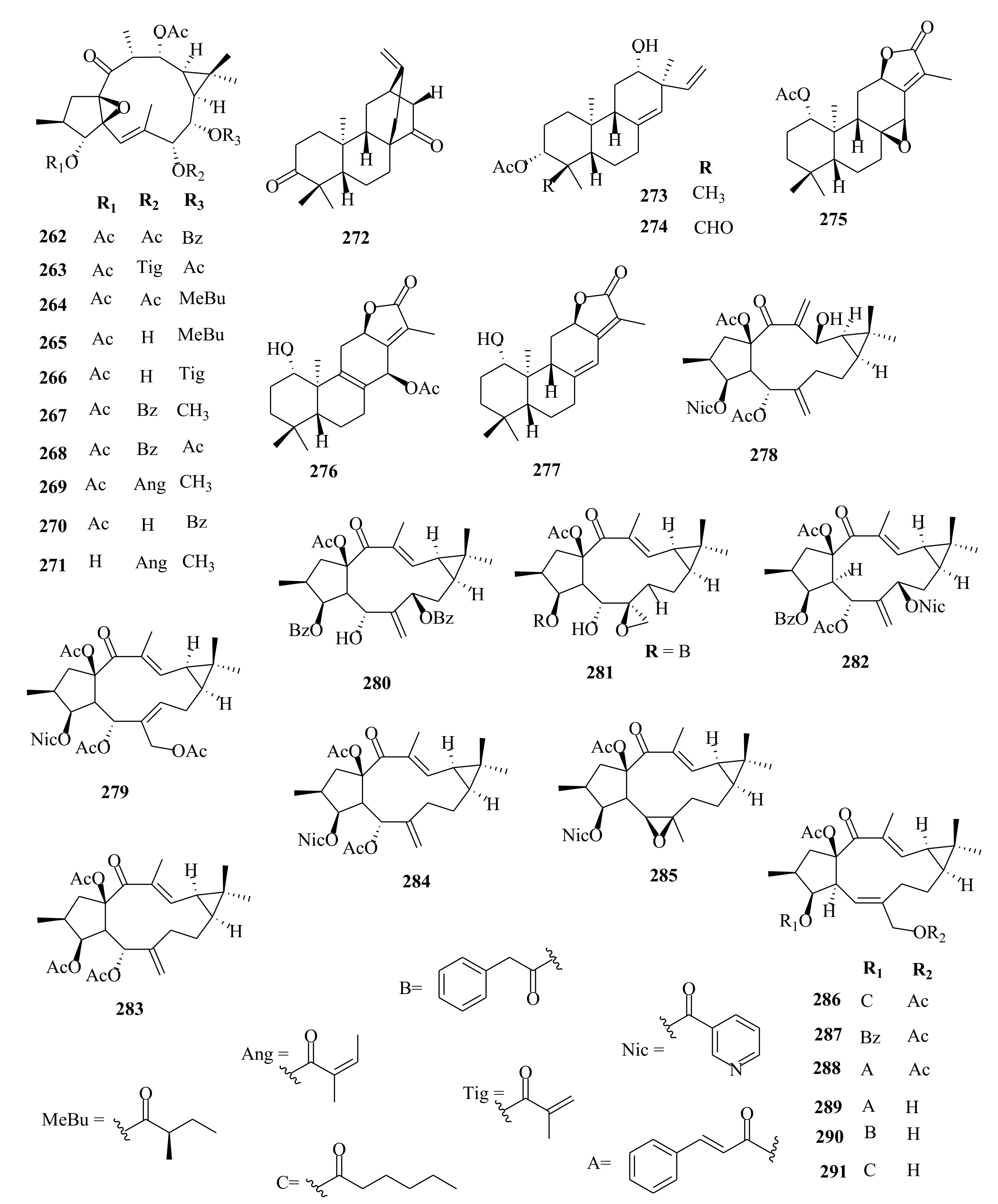 Molecules 26 05055 g011