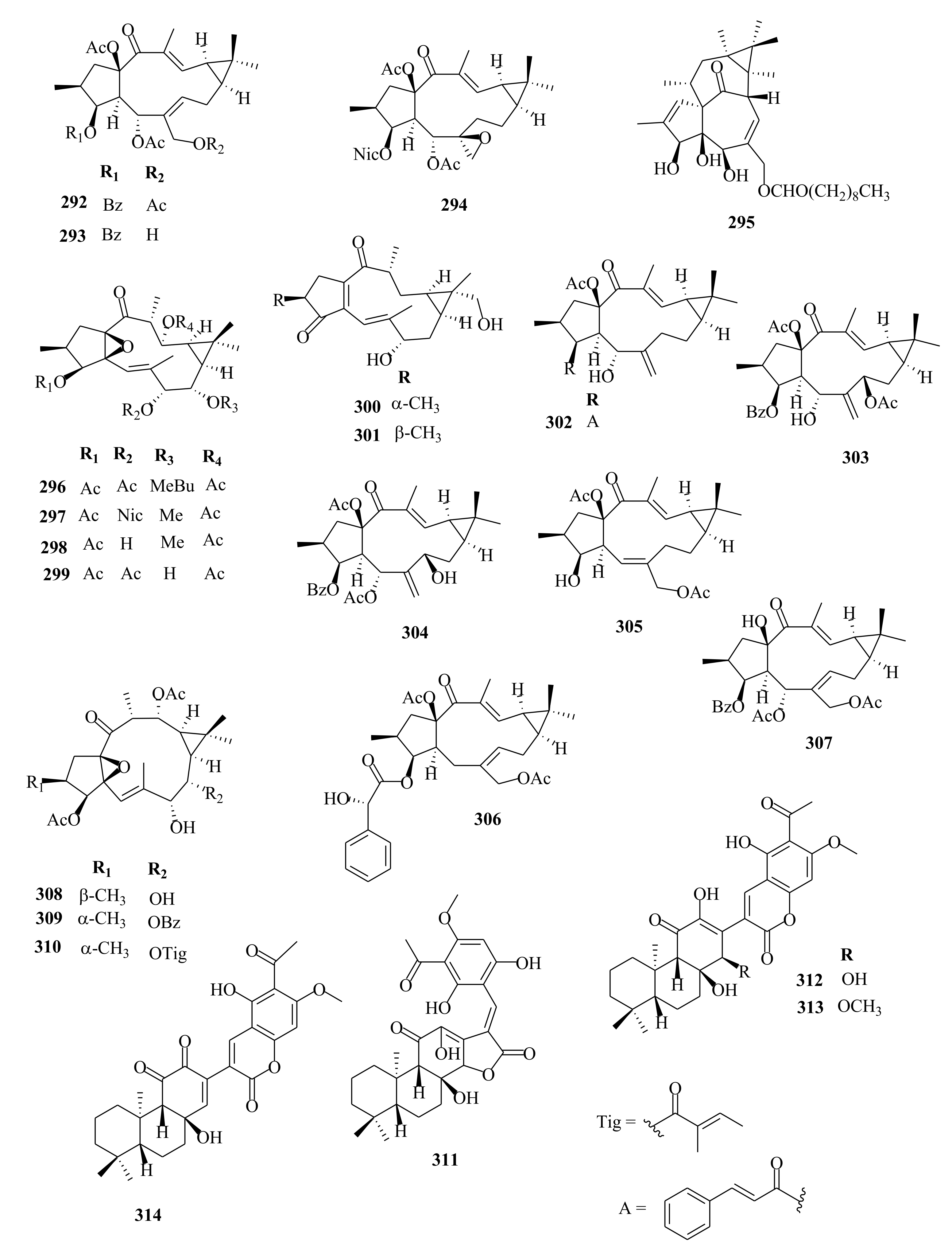 Molecules 26 05055 g012