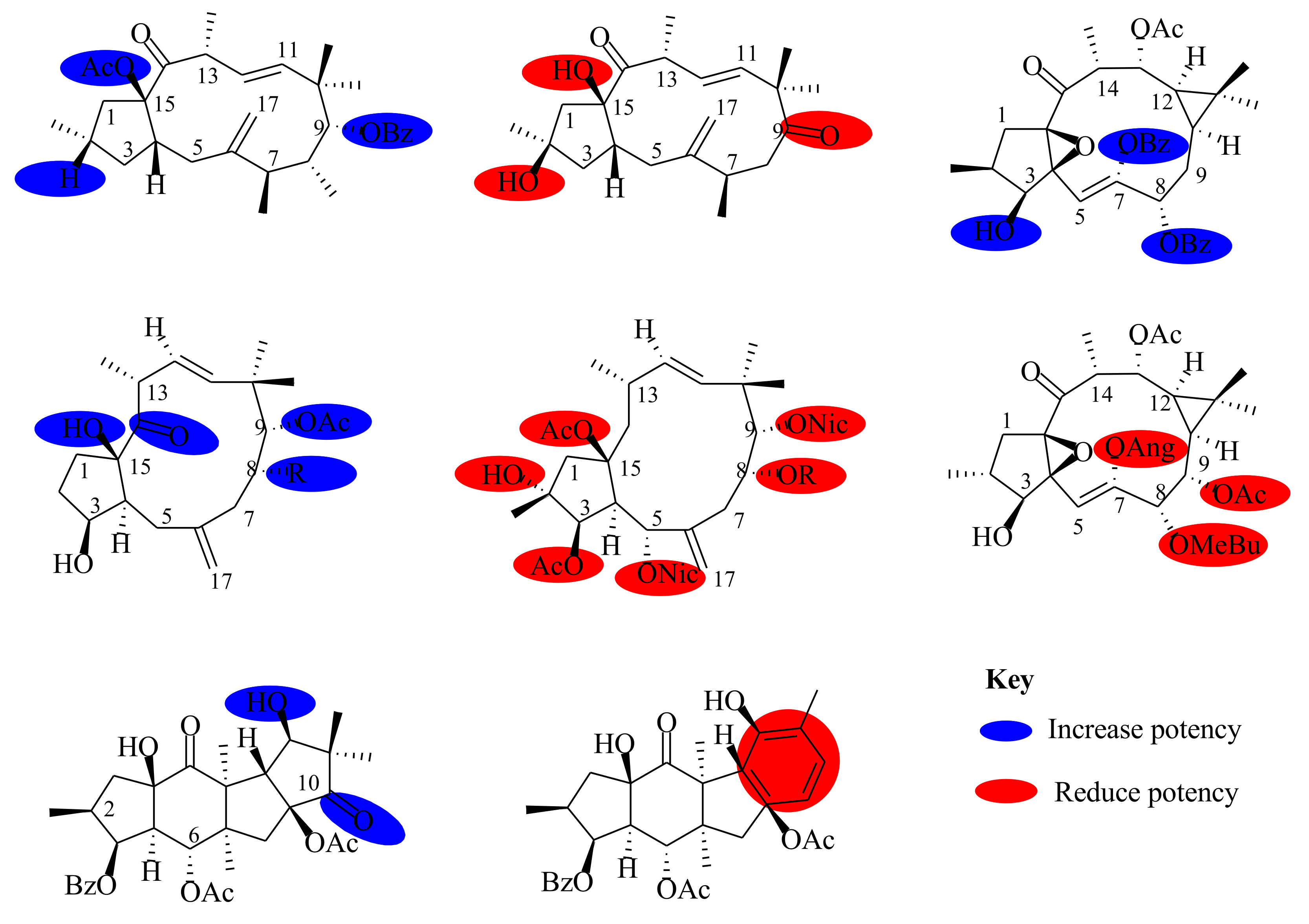 Molecules 26 05055 g017