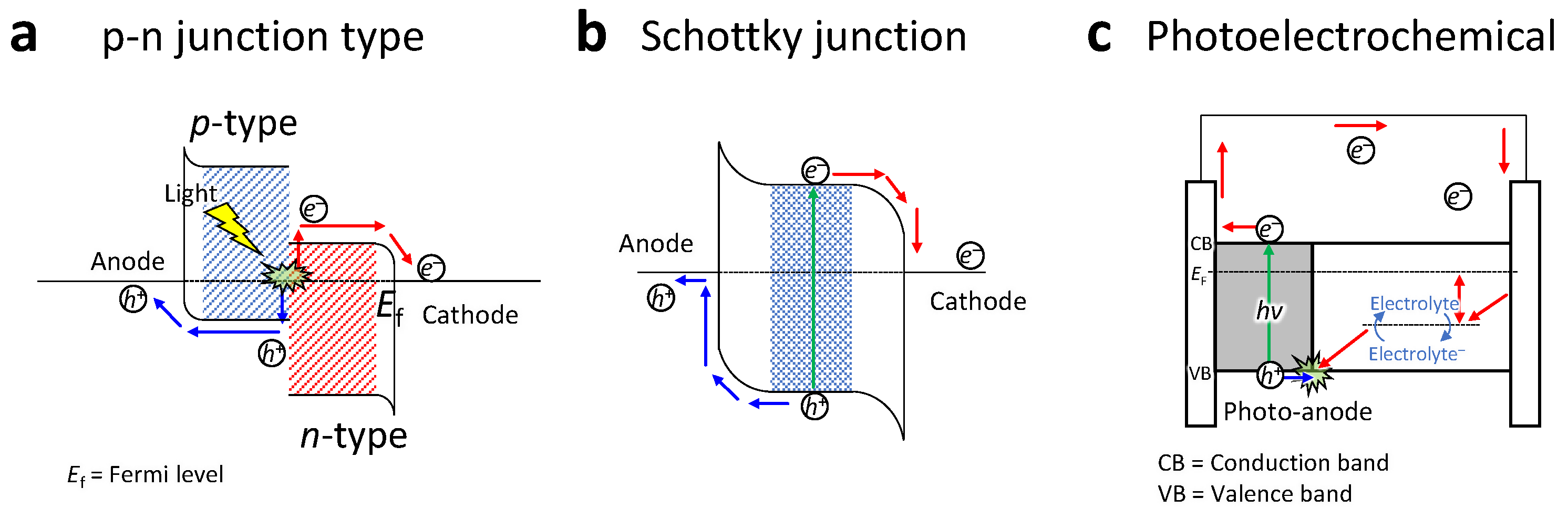 Molecules 26 05056 g001