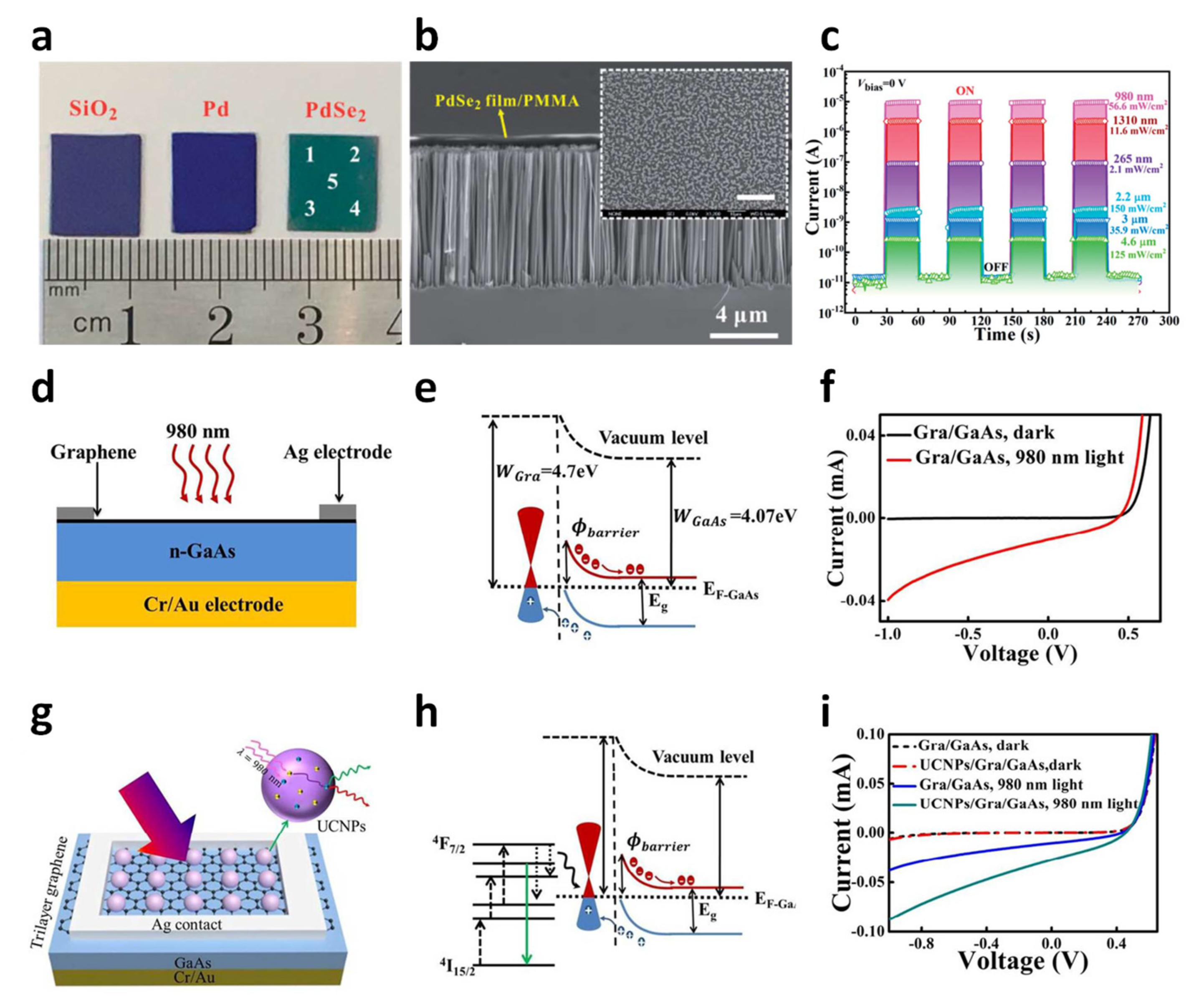 Molecules 26 05056 g003