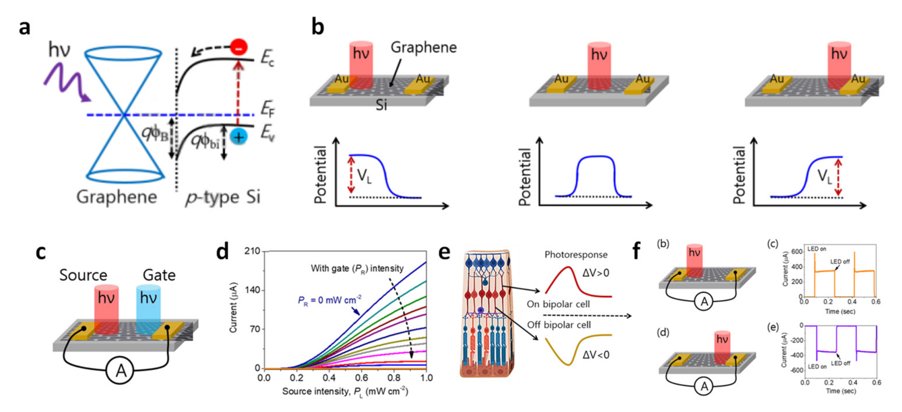 Molecules 26 05056 g005