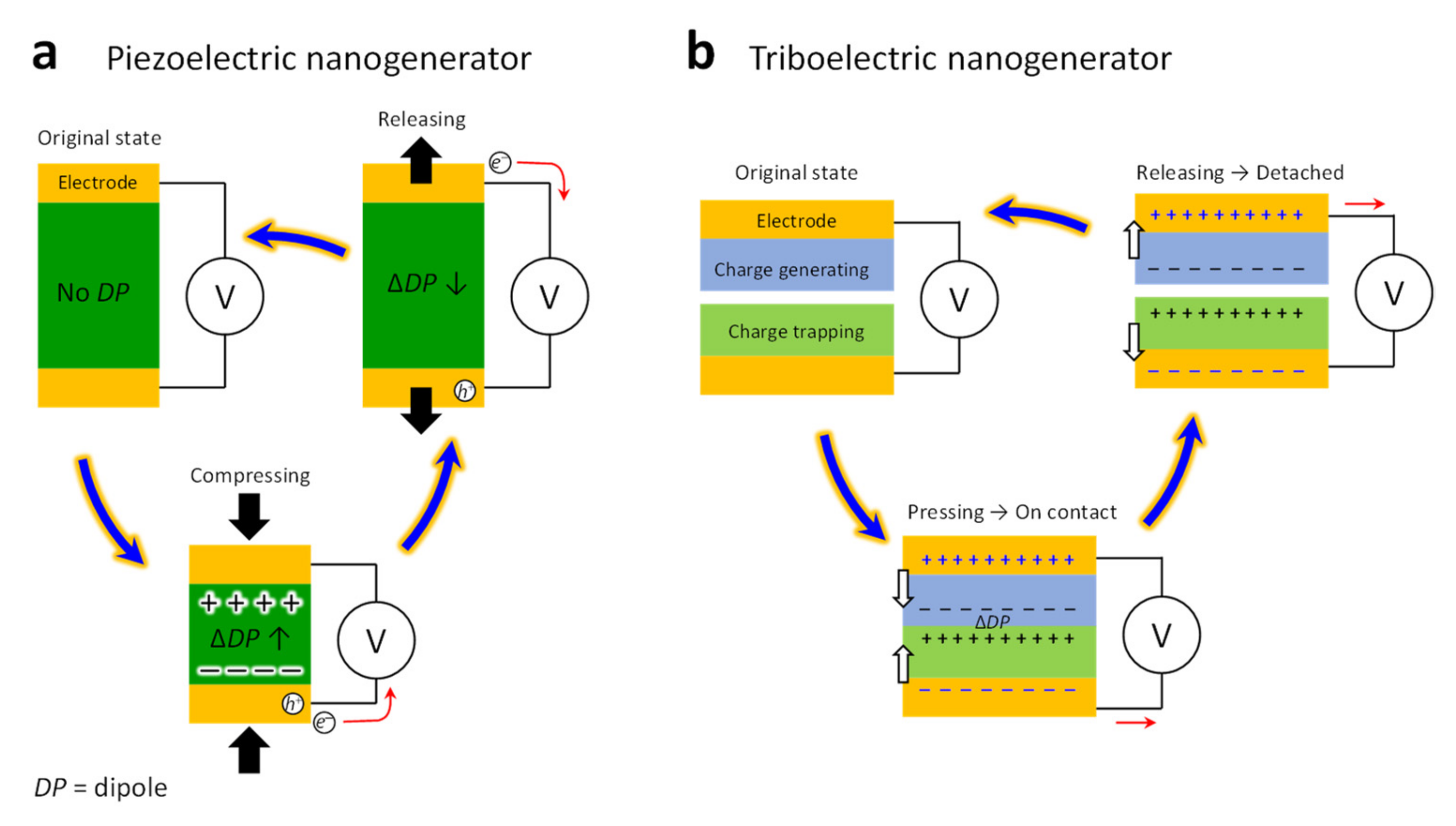 Molecules 26 05056 g006