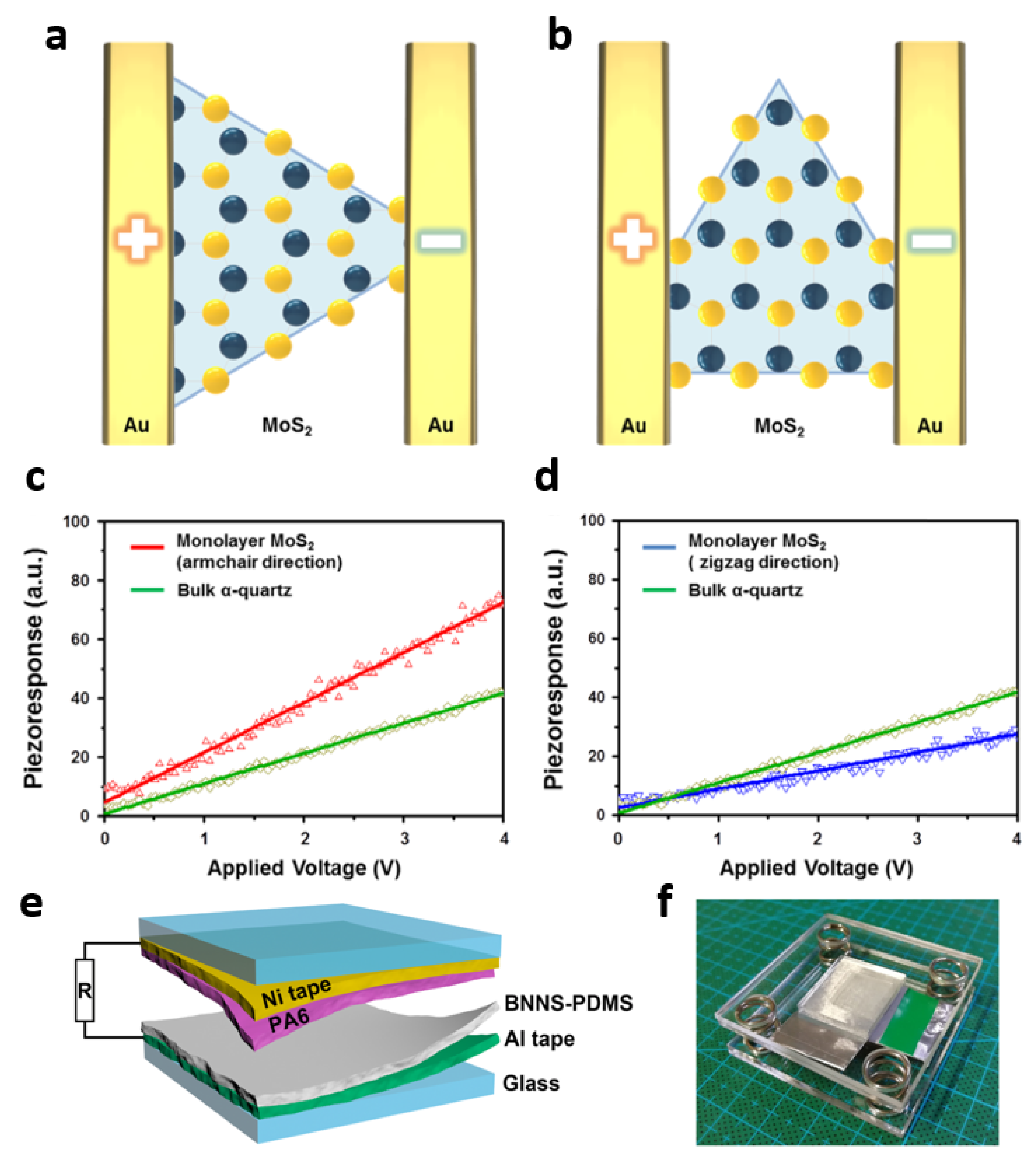 Molecules 26 05056 g007