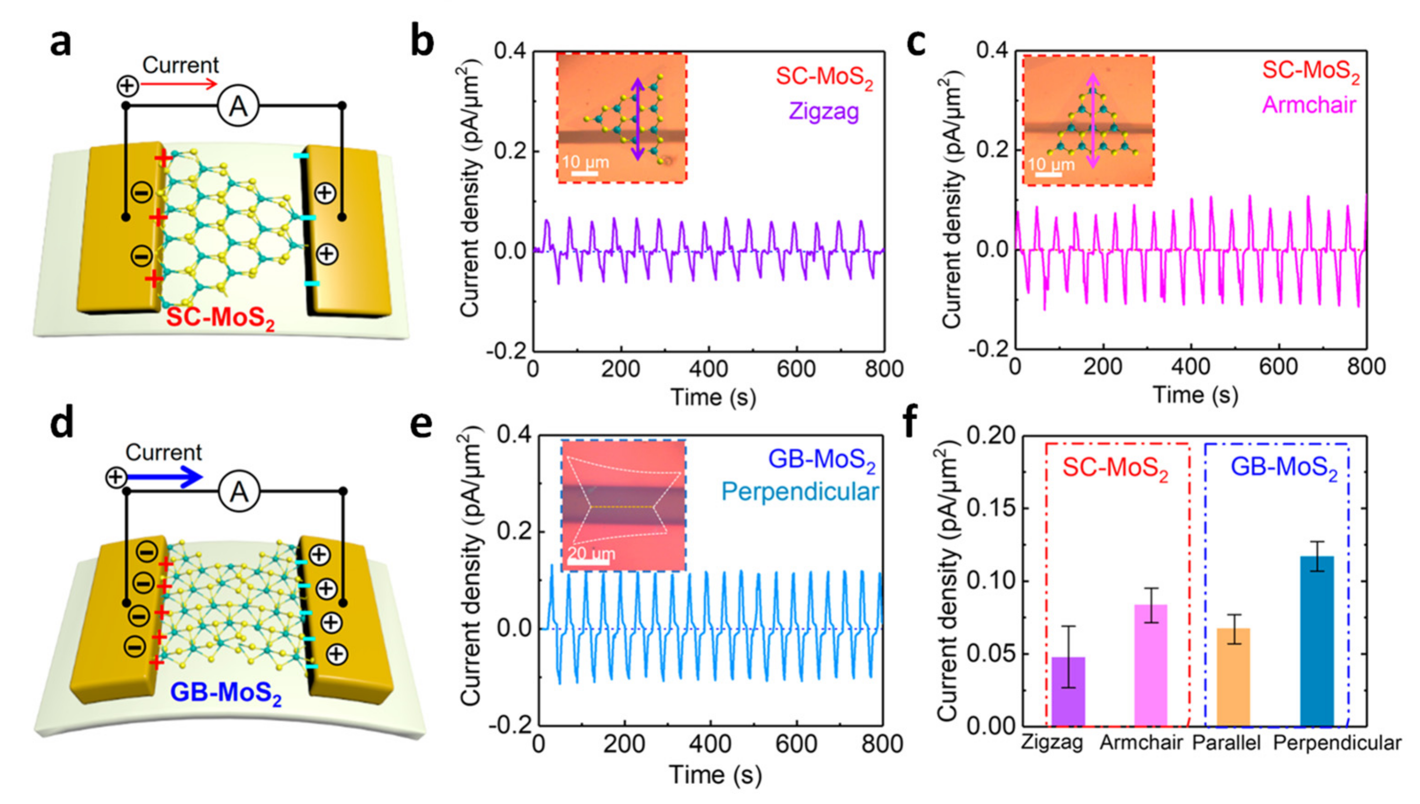 Molecules 26 05056 g008