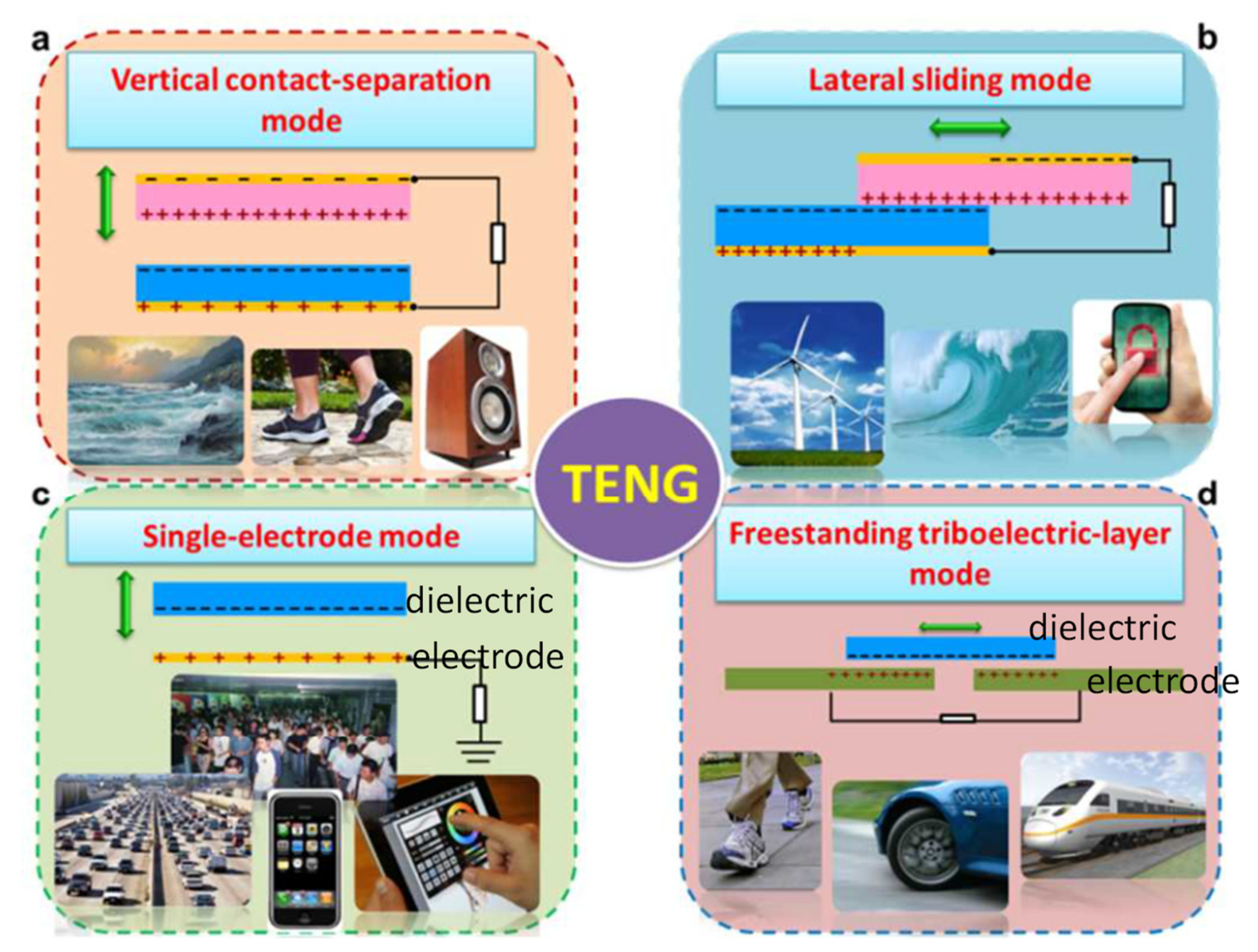 Molecules 26 05056 g009