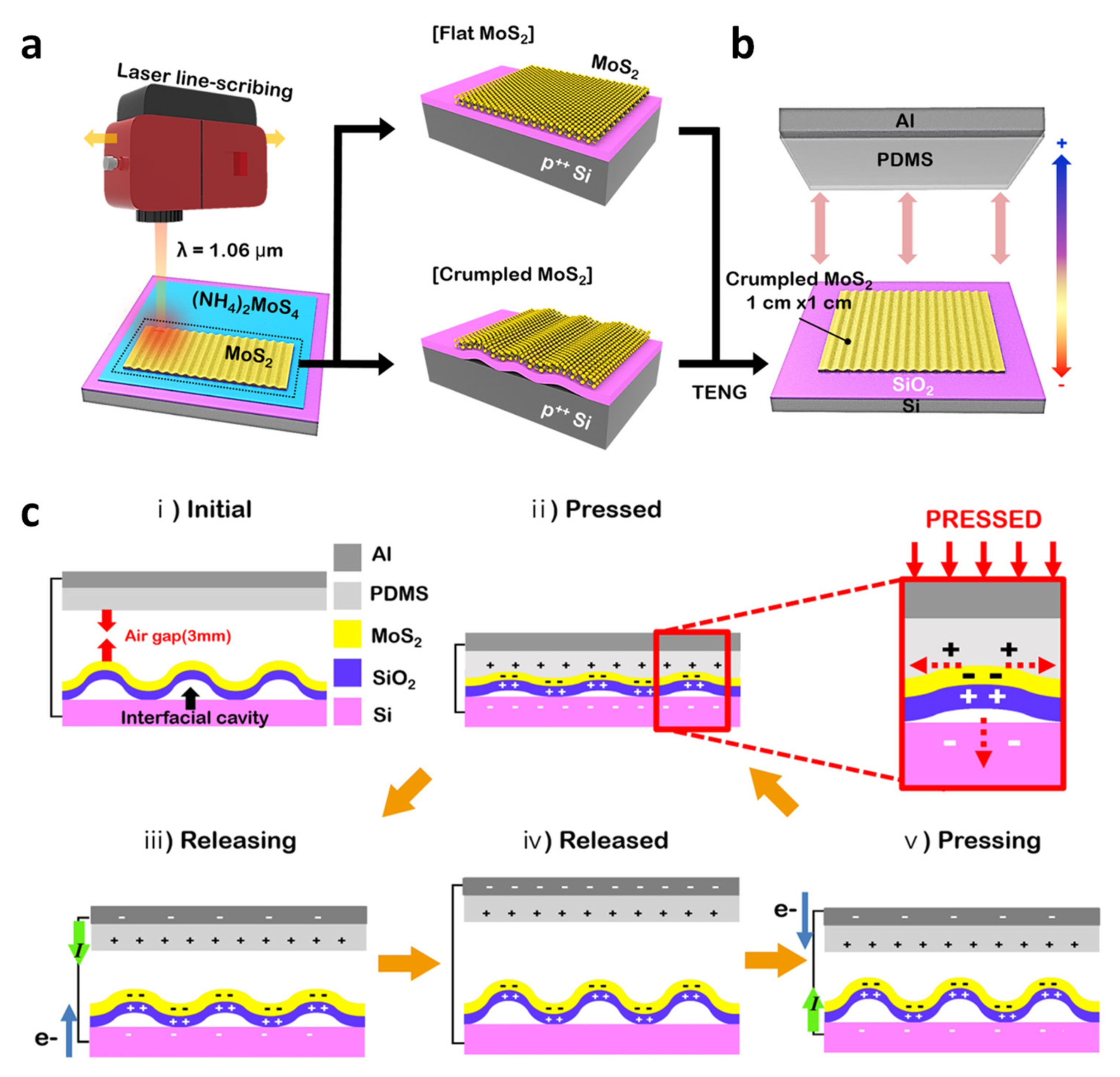 Molecules 26 05056 g010