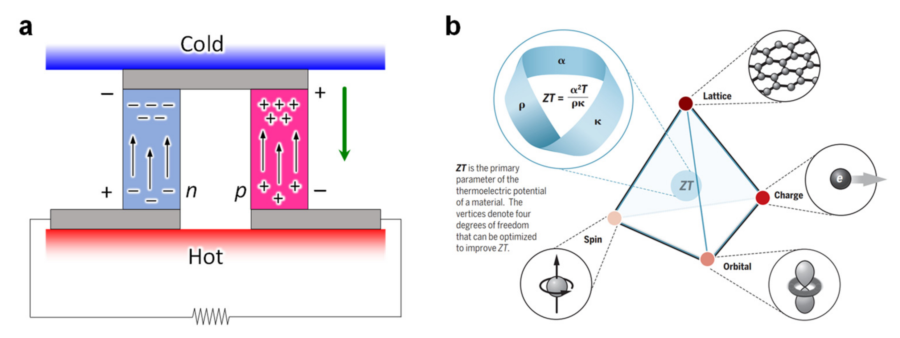 Molecules 26 05056 g012