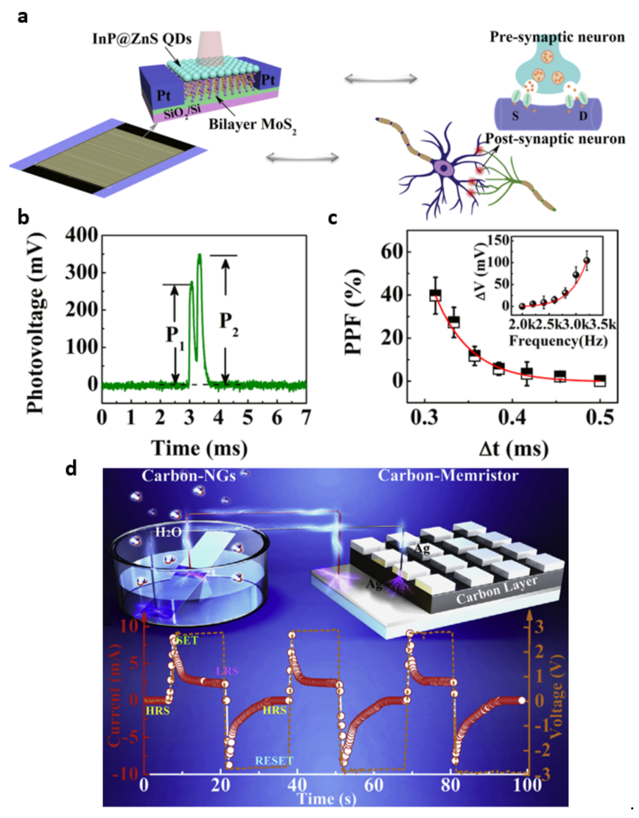 Molecules 26 05056 g016