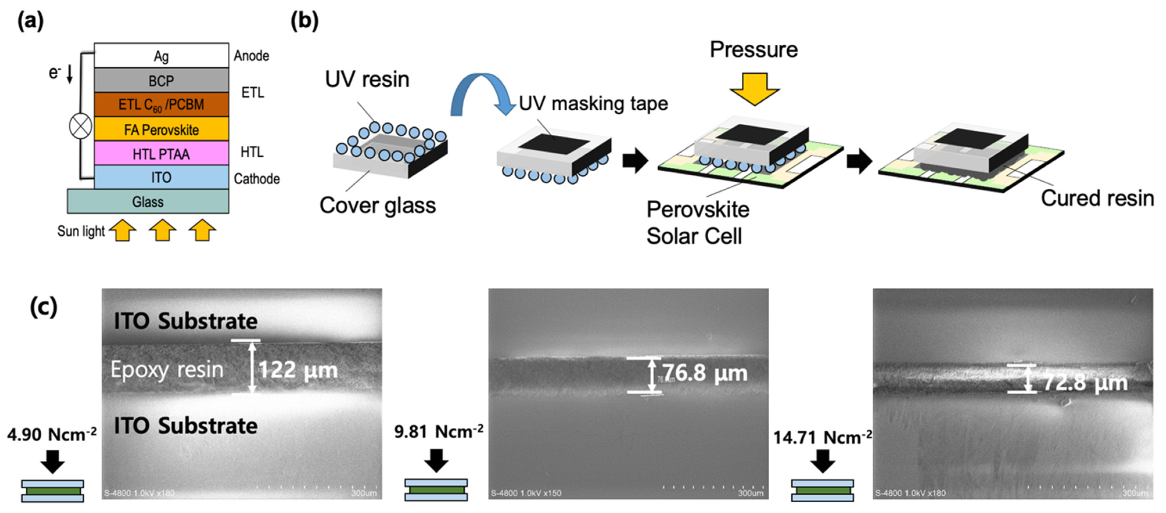 Molecules 26 05060 g001