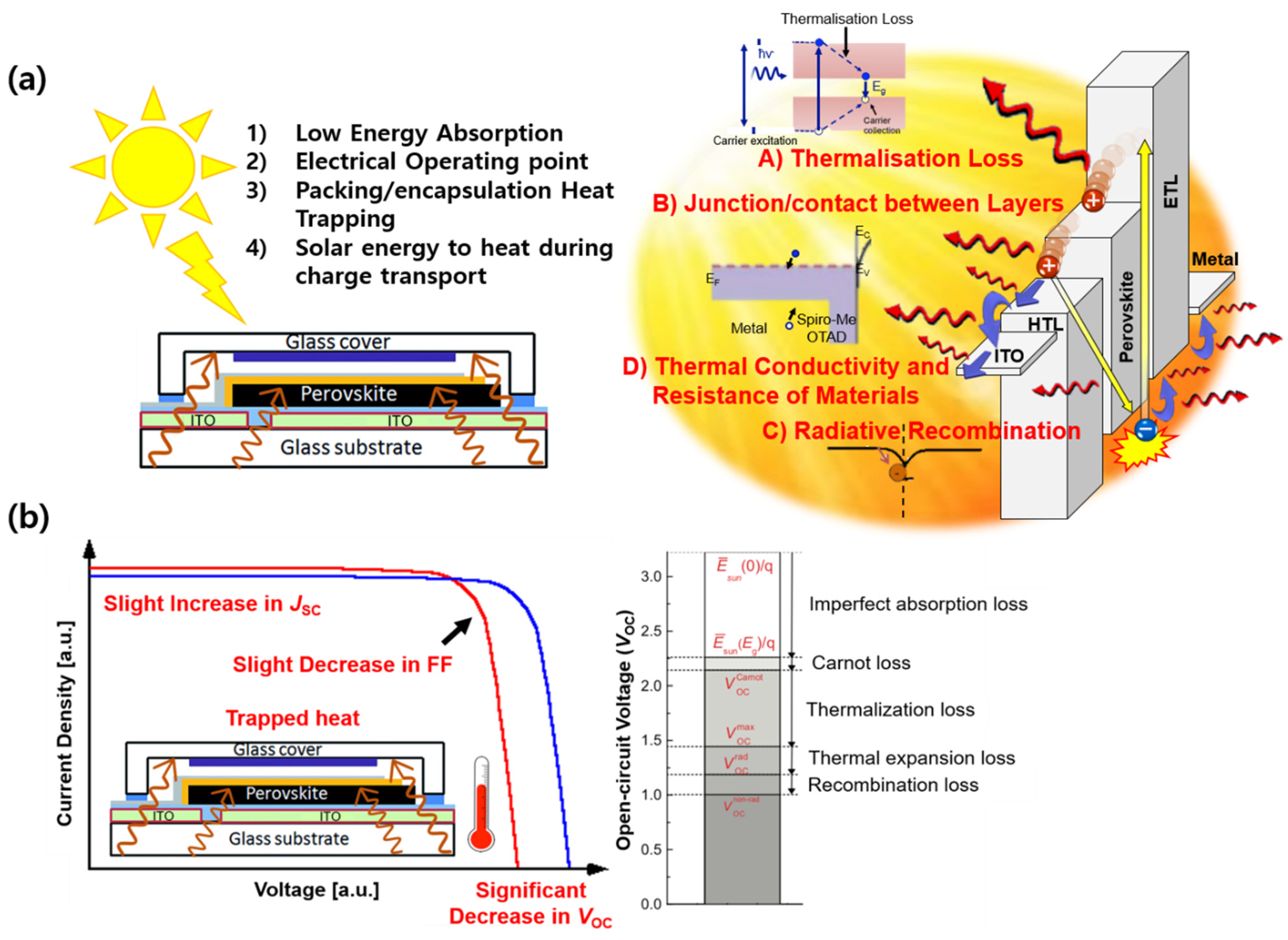 Molecules 26 05060 g003
