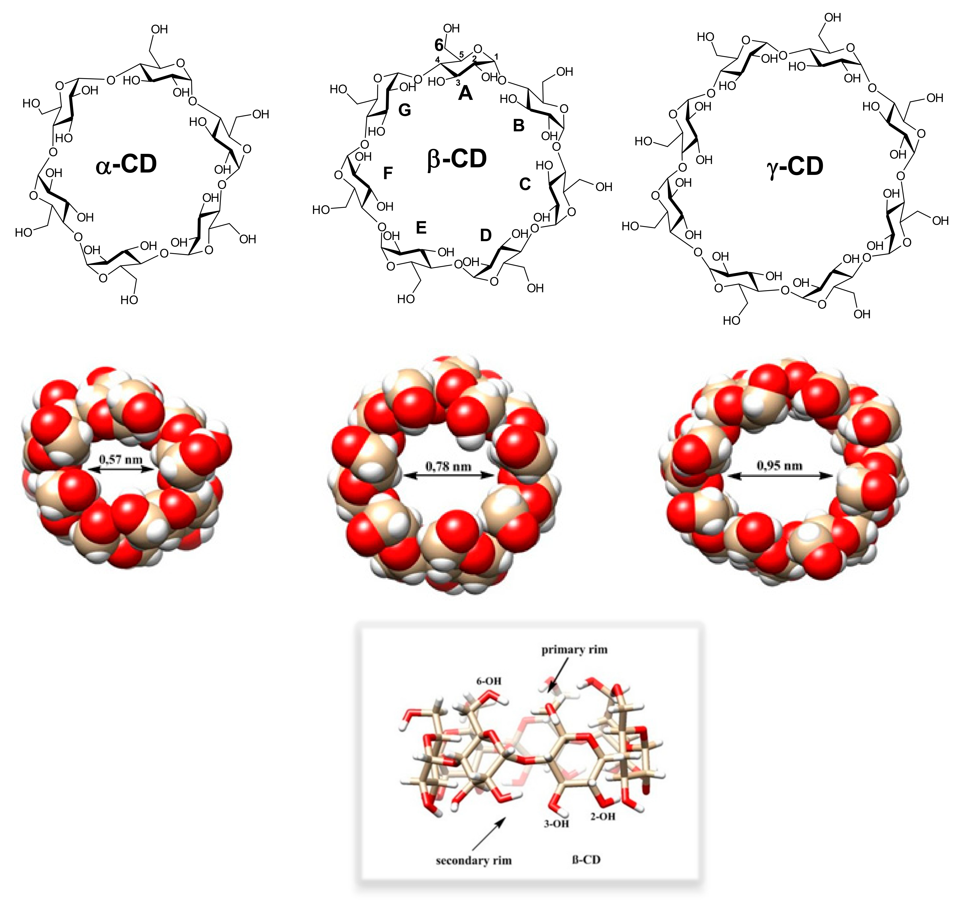 Molecules 26 05065 g001 Molecules 26 05065 g001