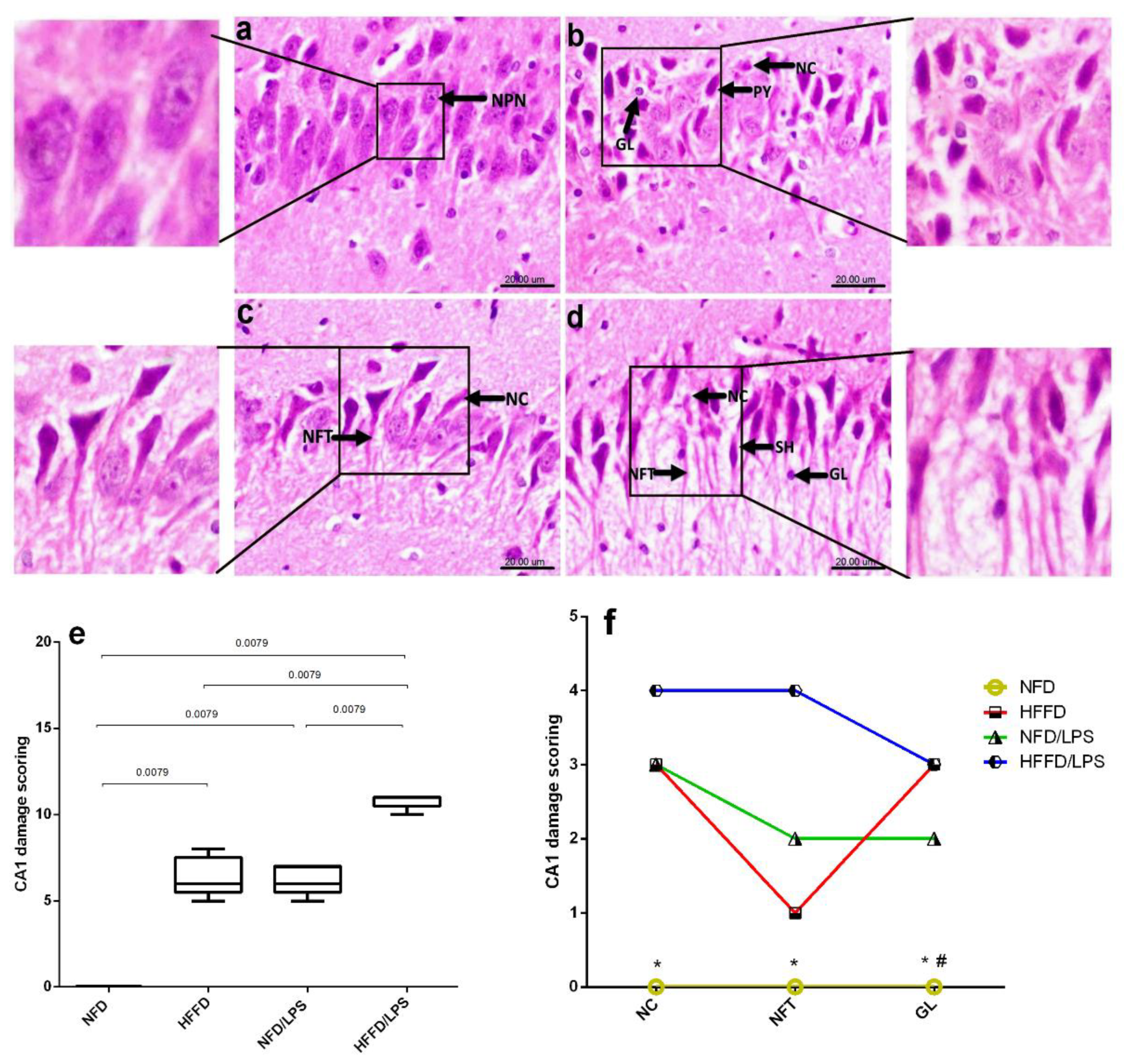 Molecules 26 05068 g003