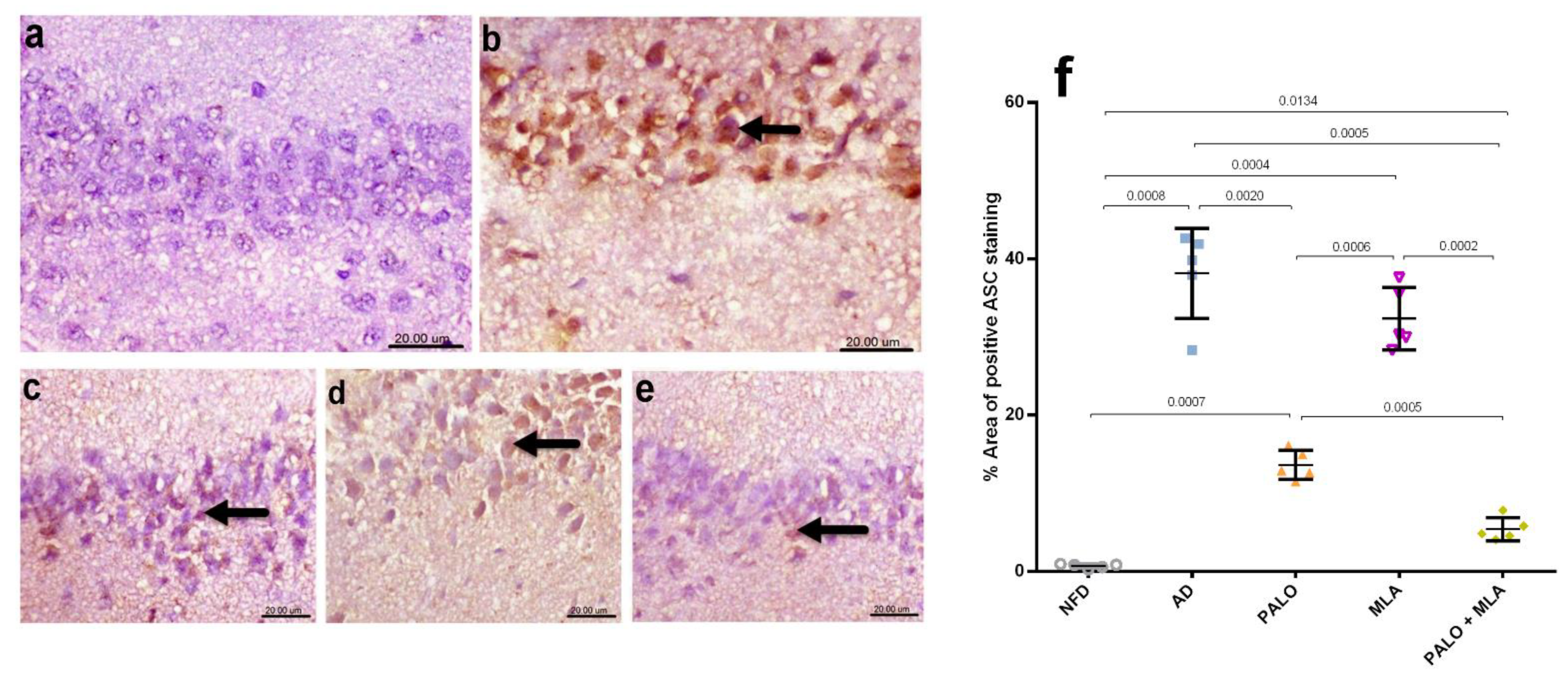 Molecules 26 05068 g006