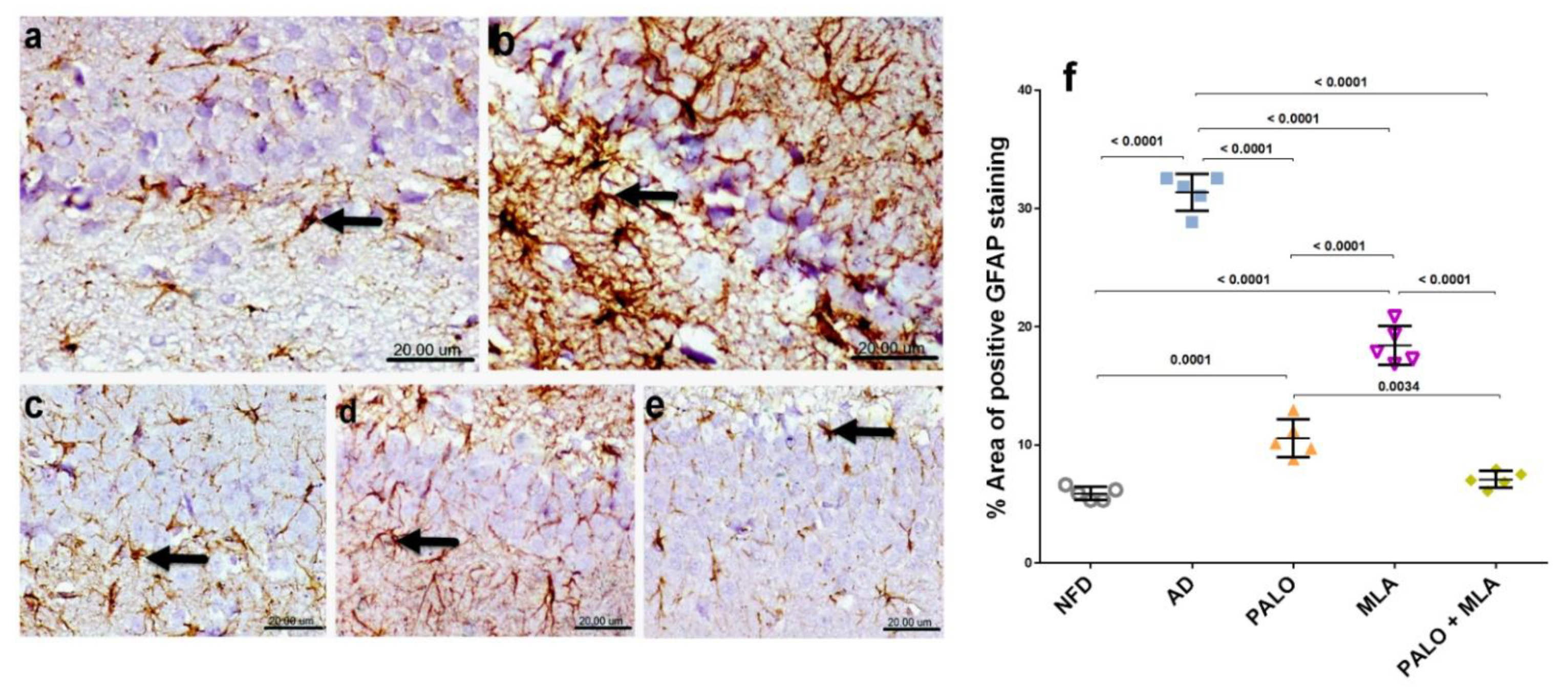 Molecules 26 05068 g010