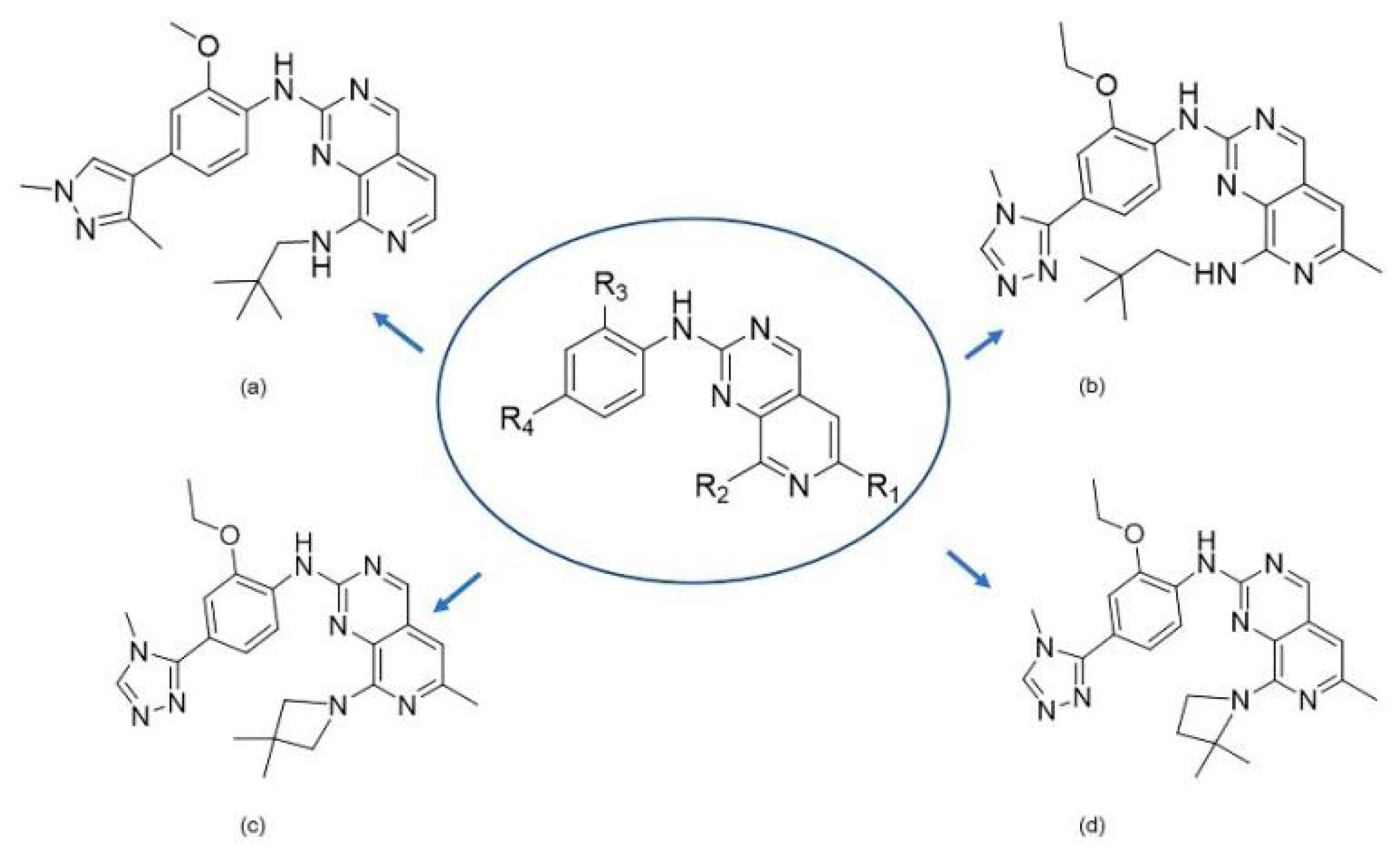 Molecules 26 05075 g001