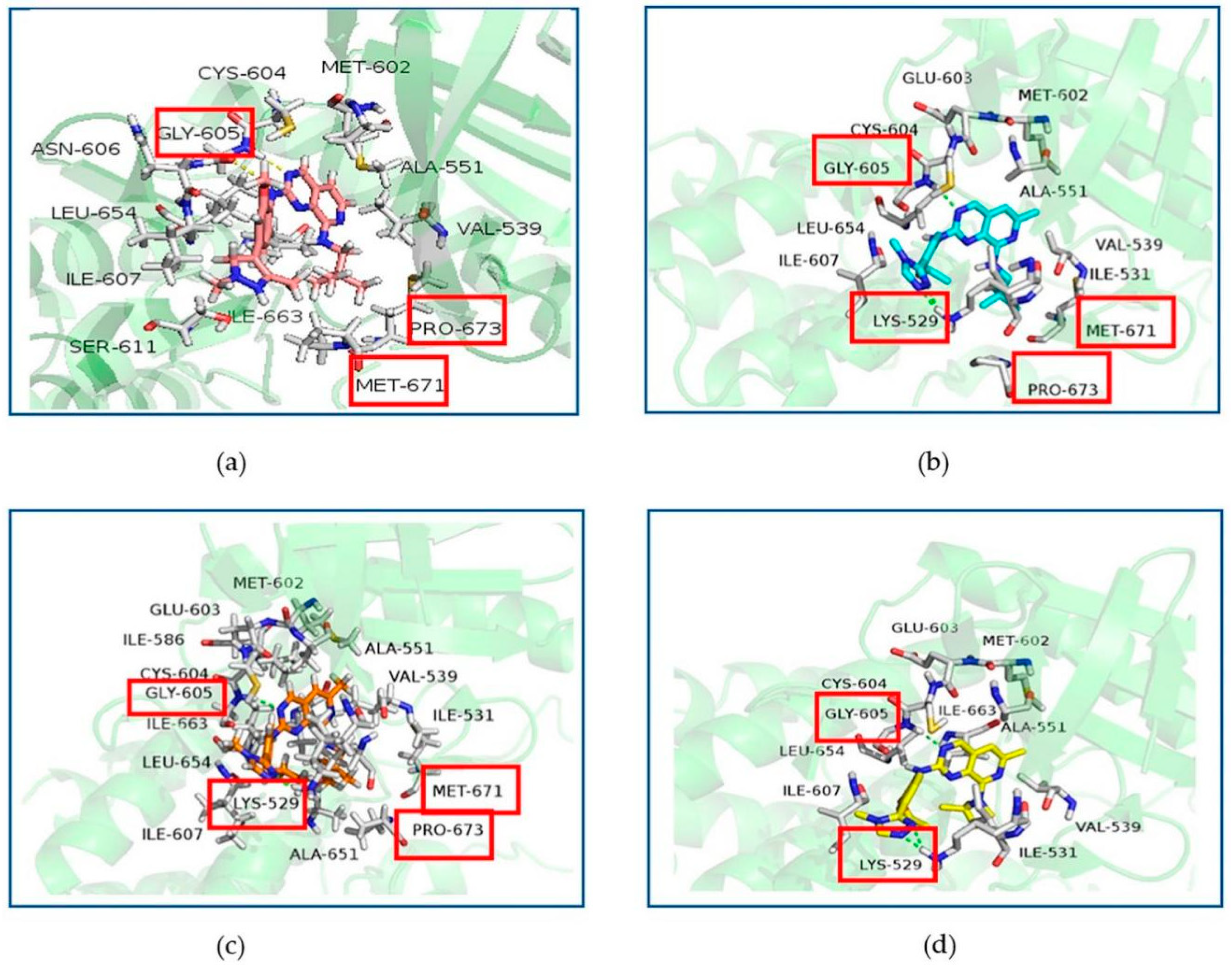 Molecules 26 05075 g004