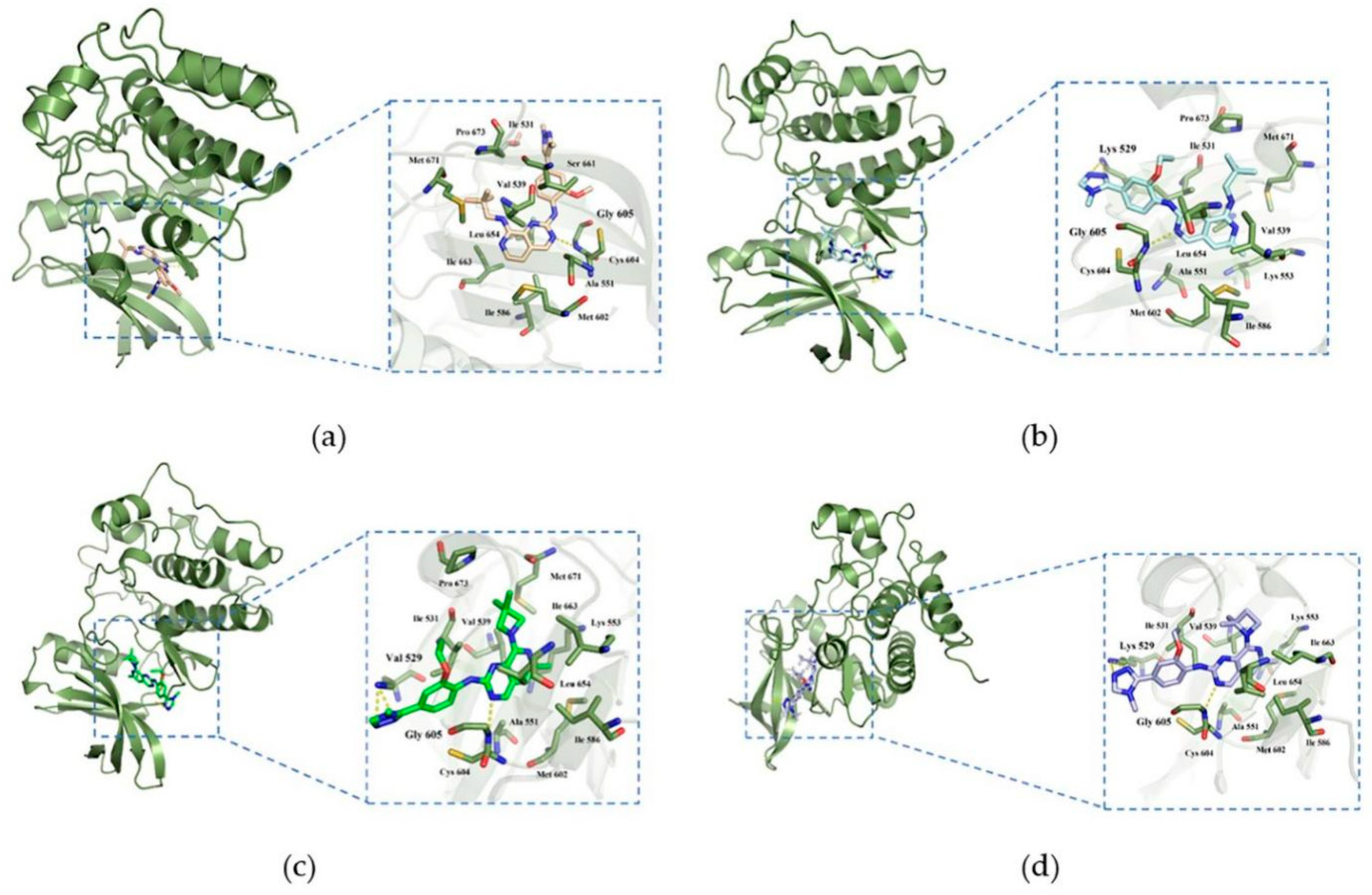 Molecules 26 05075 g007