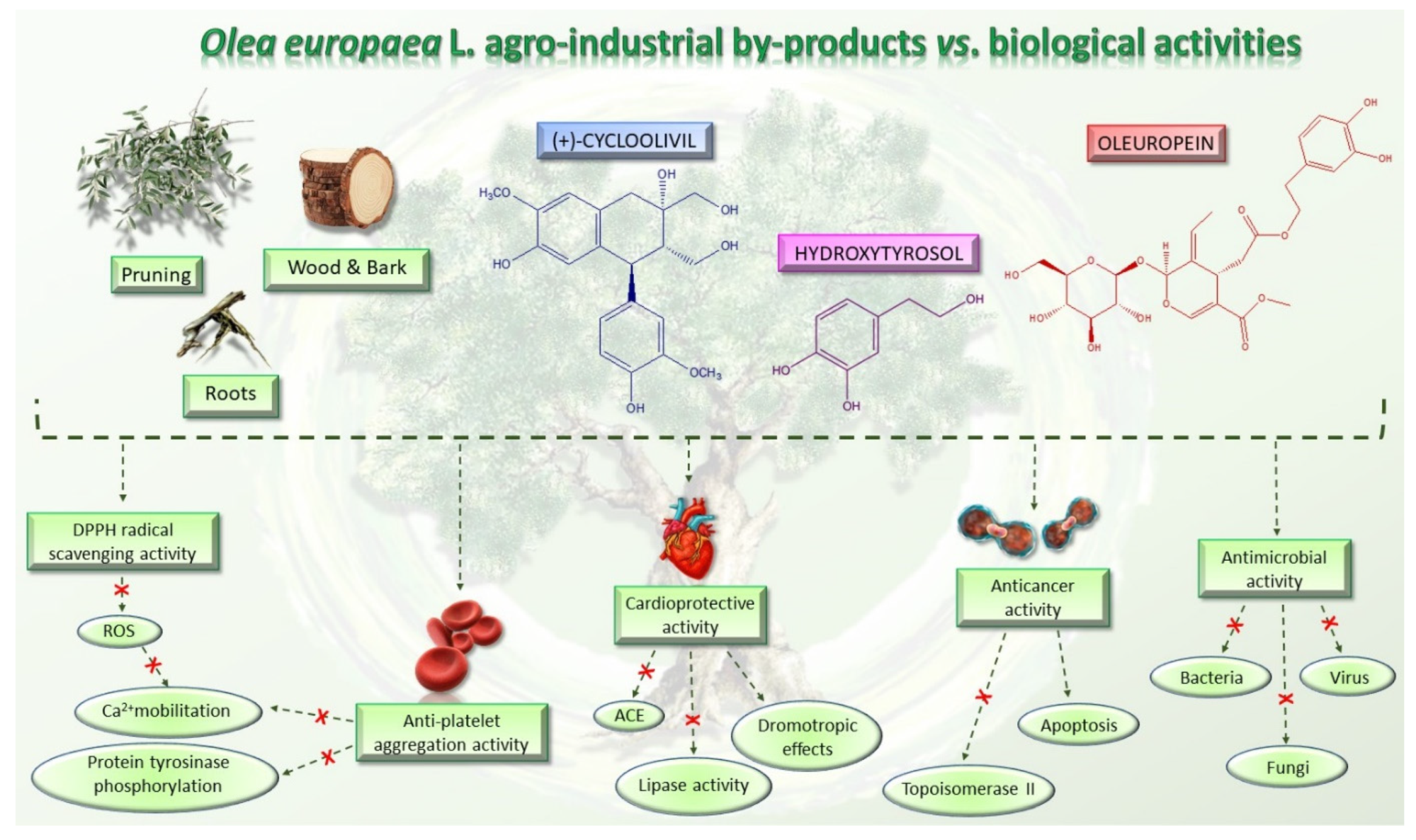 Molecules 26 05081 g005