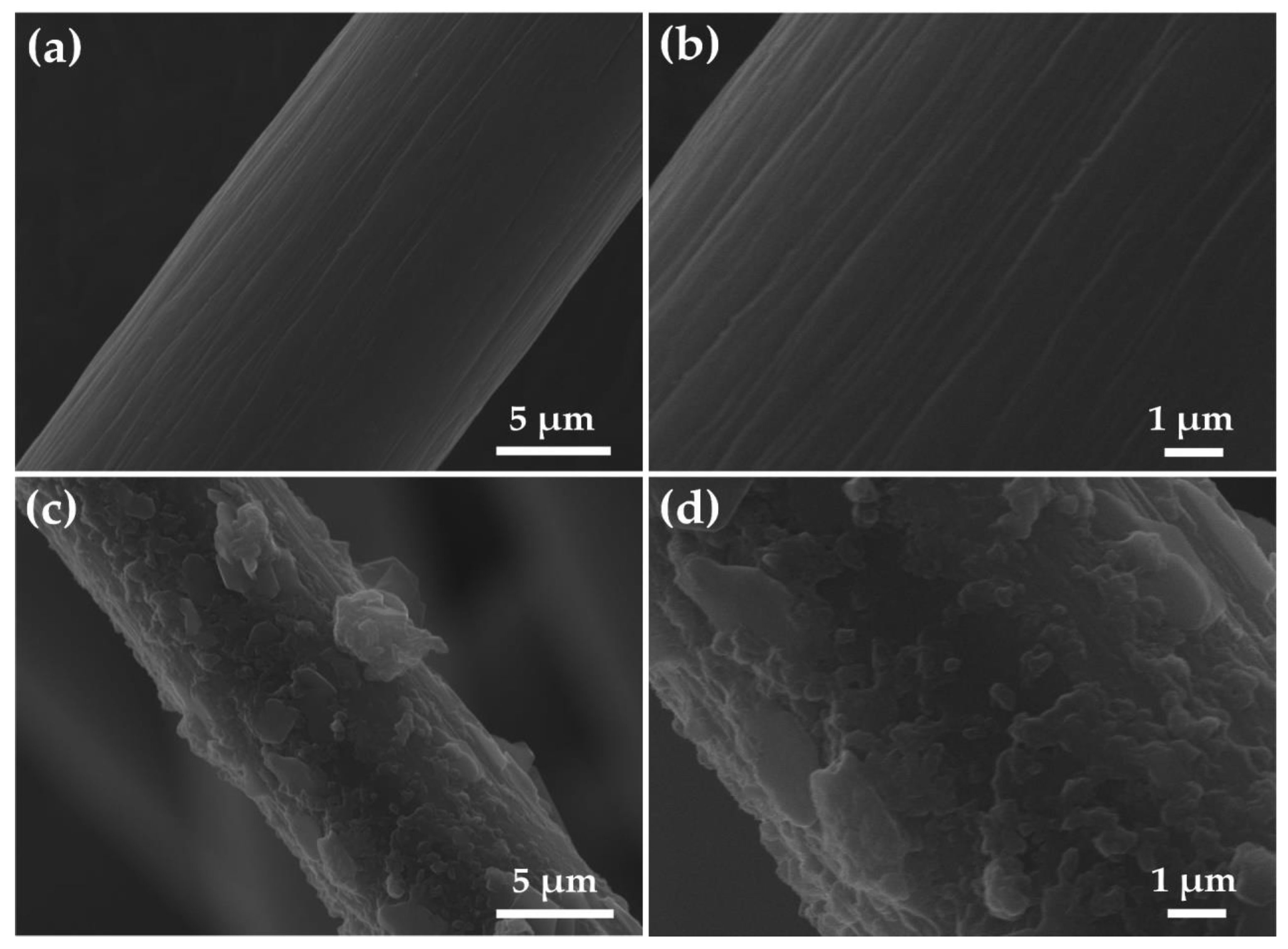 Molecules 26 05085 g007