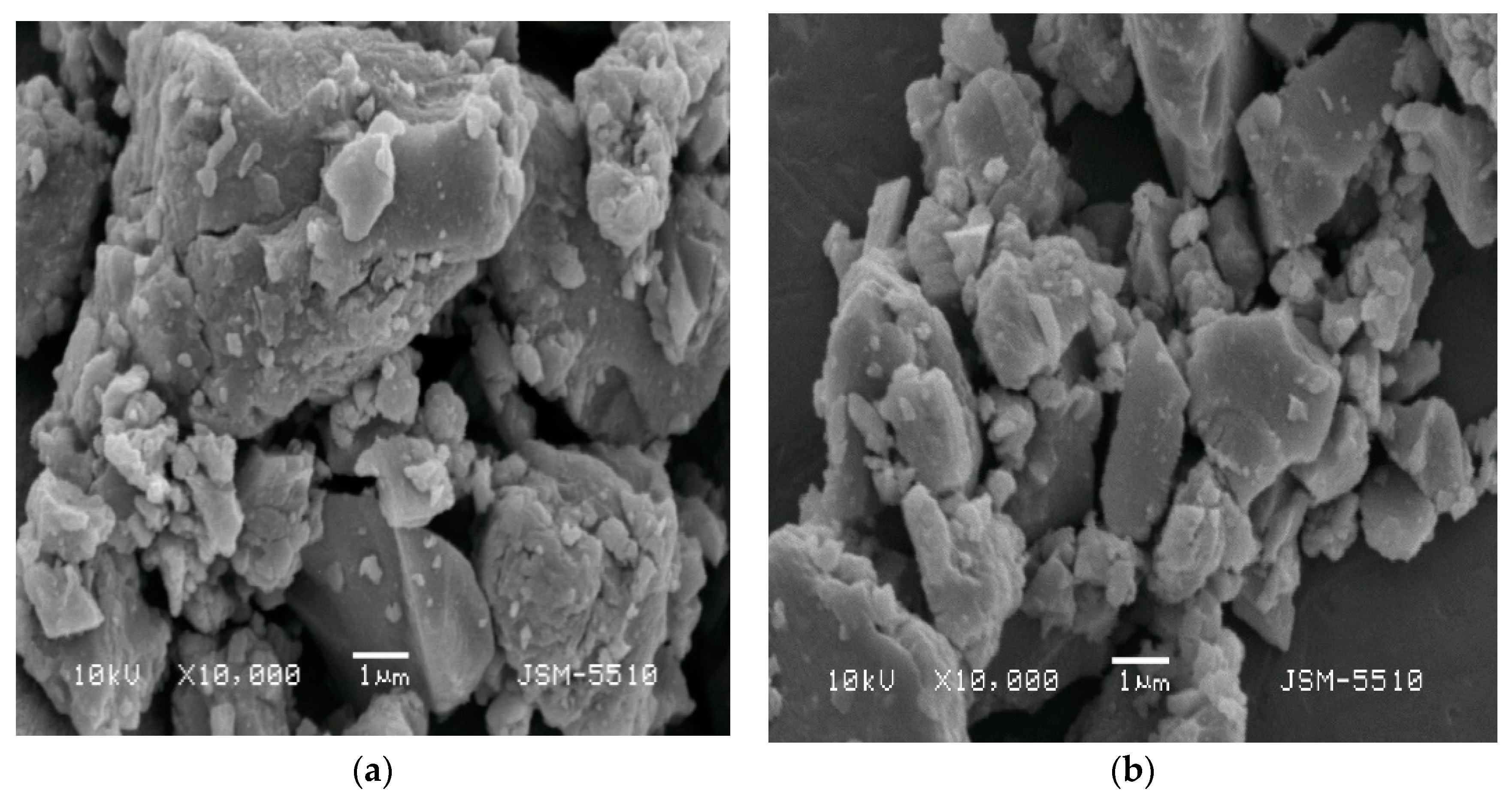 Molecules 26 05090 g010