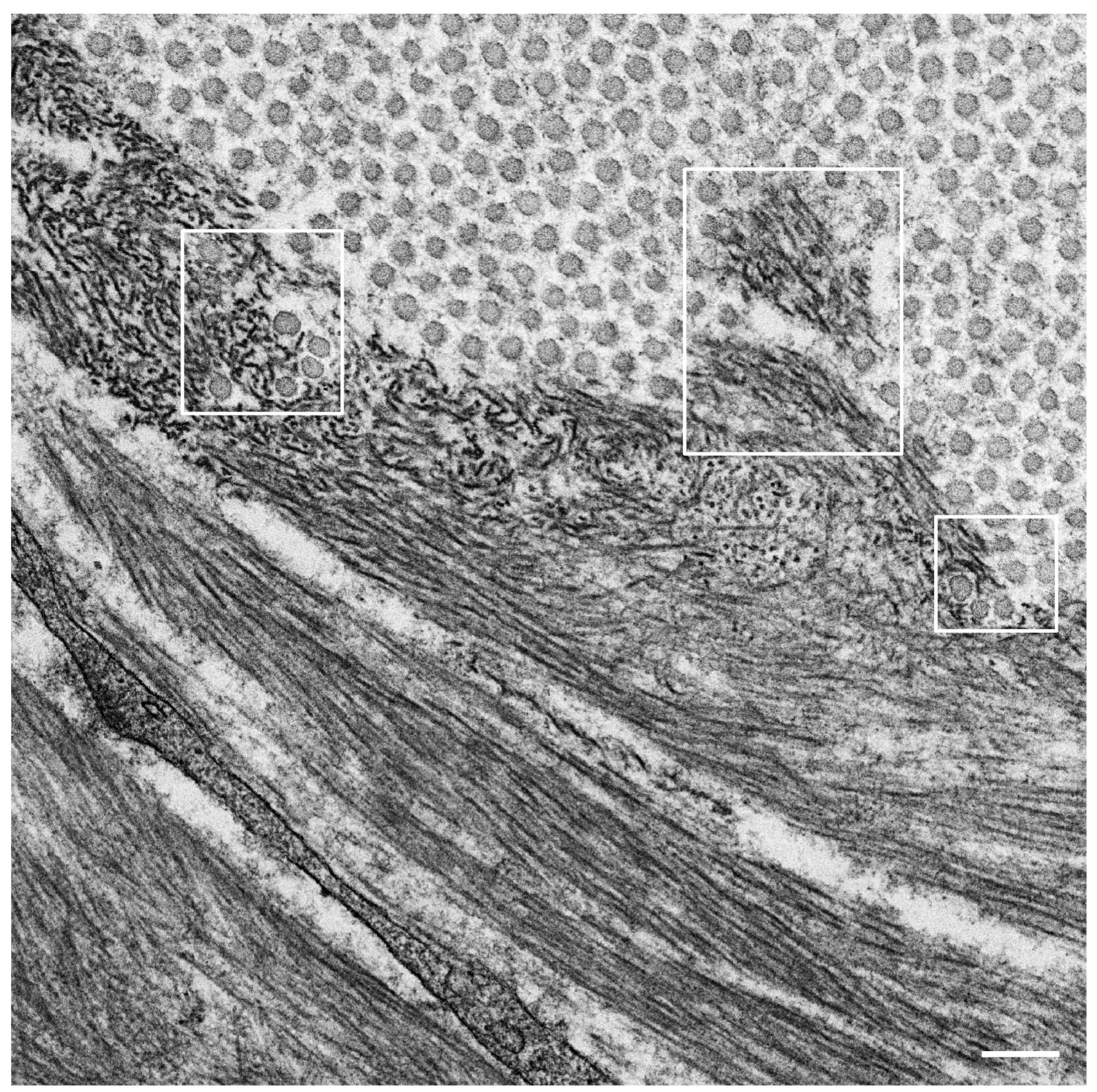 Molecules 26 05091 g002