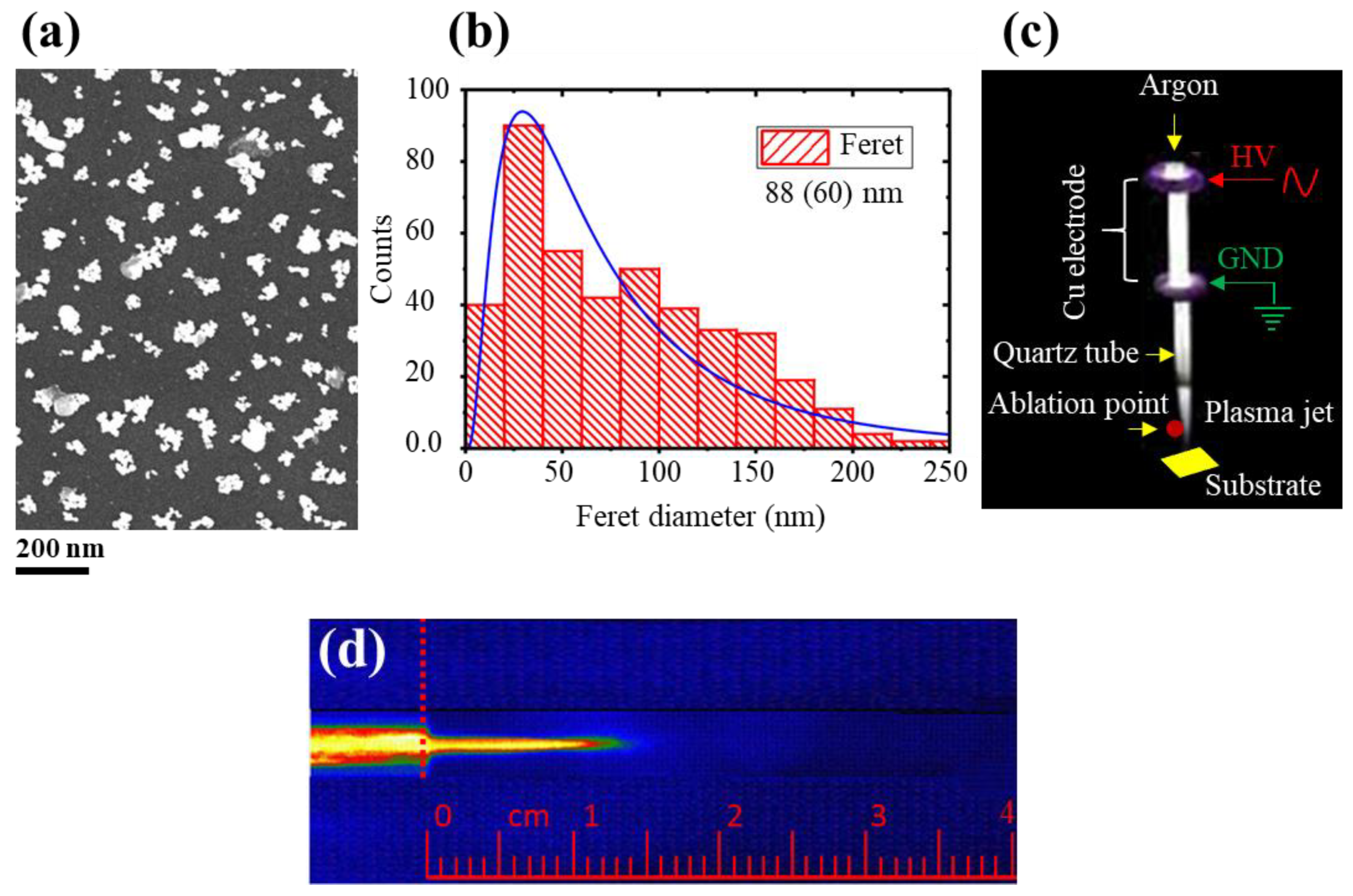 Molecules 26 05106 g008