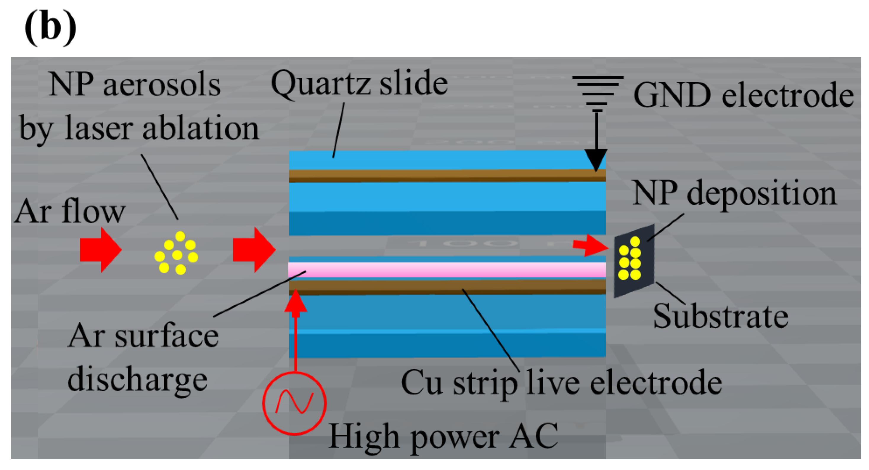 Molecules 26 05106 g010b