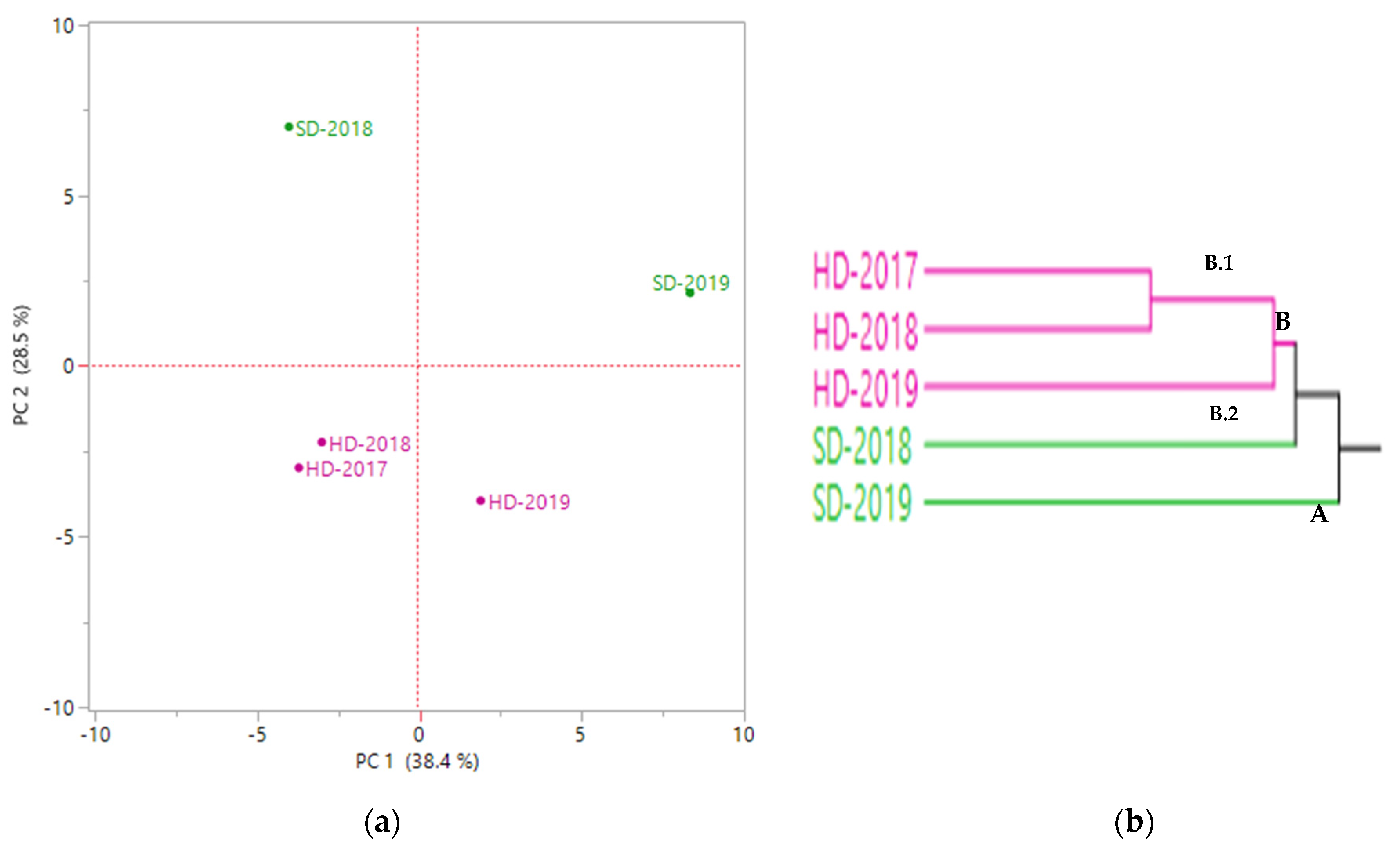 Molecules 26 05109 g002