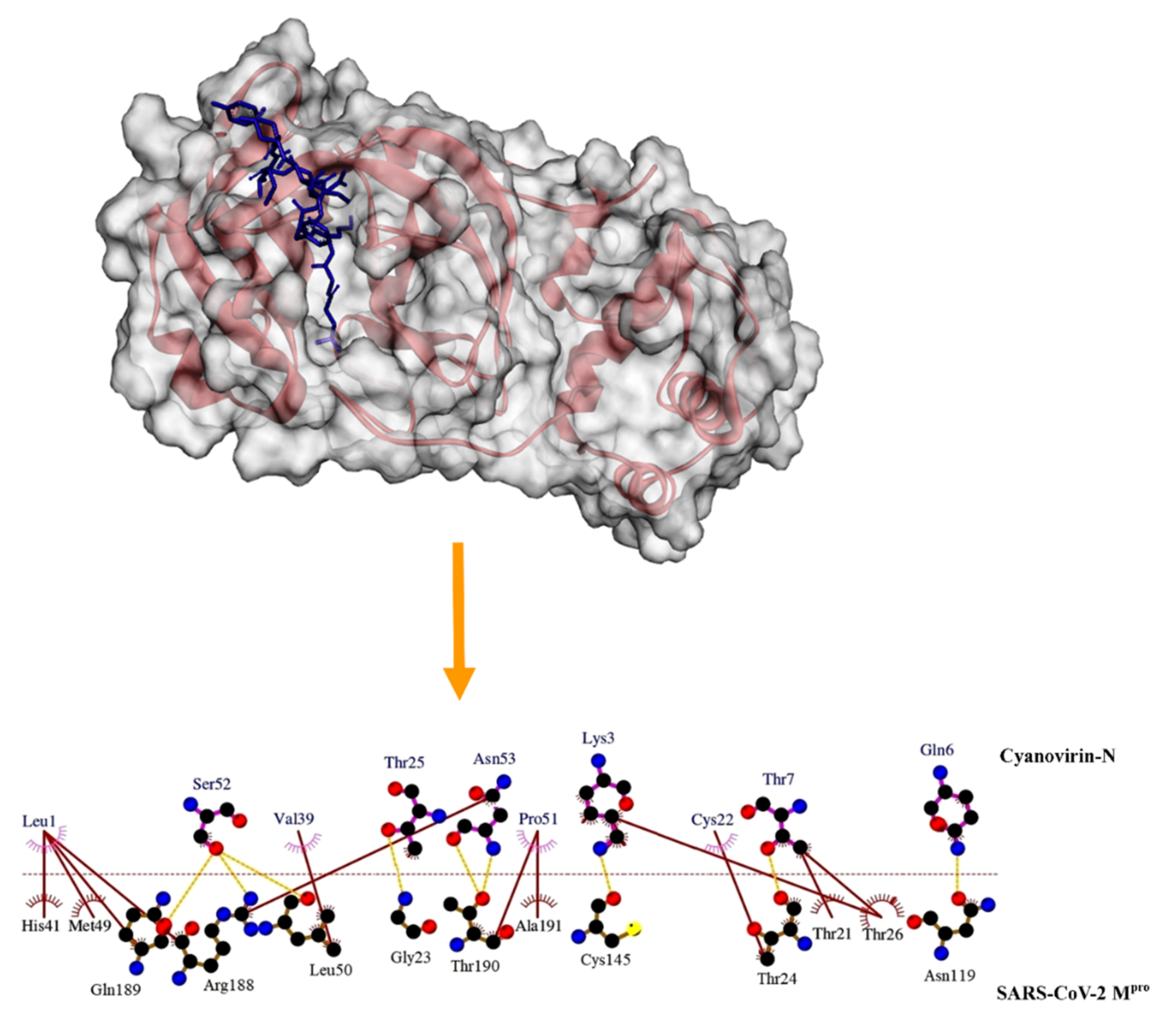 Molecules 26 05114 g003