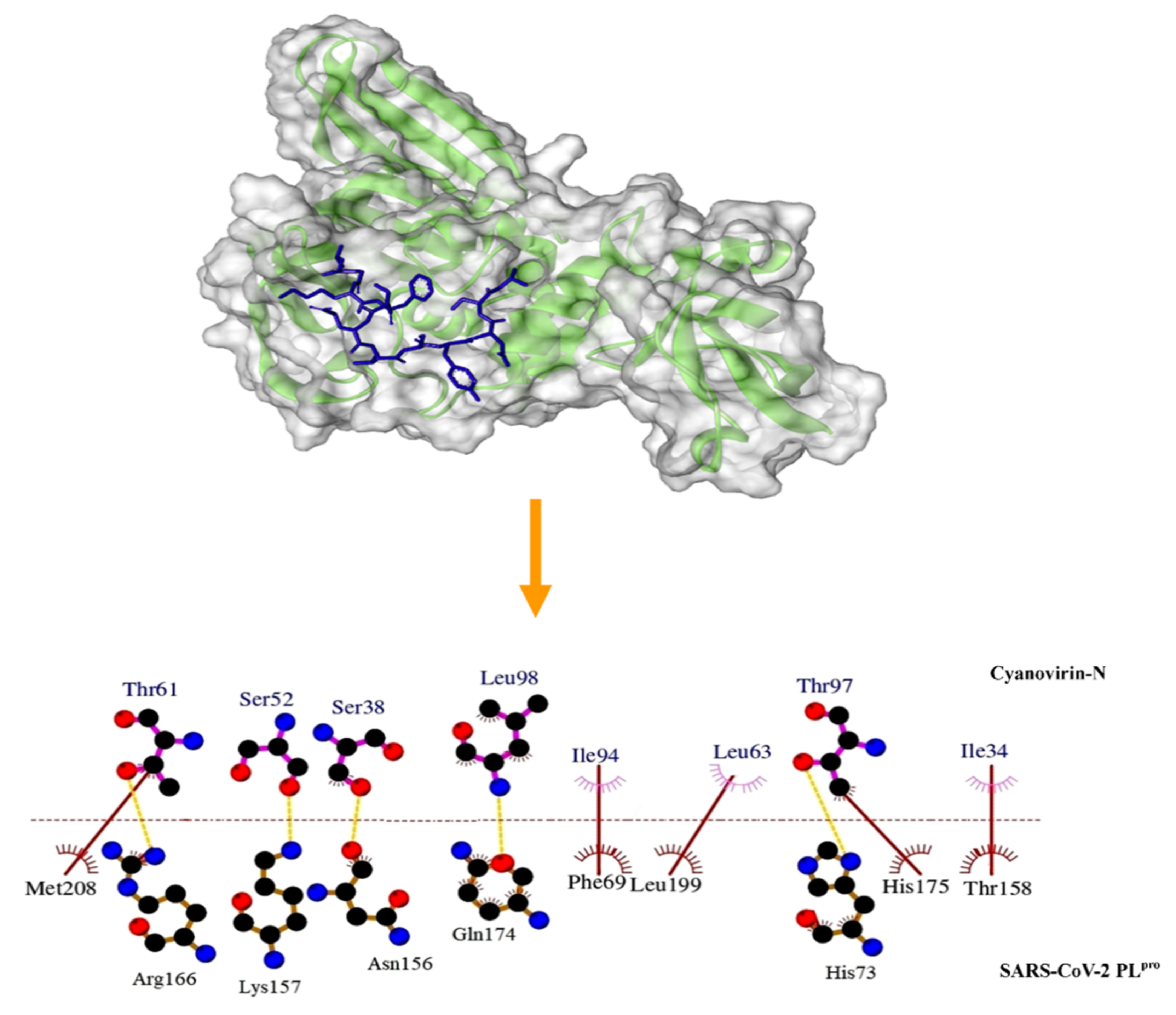 Molecules 26 05114 g004
