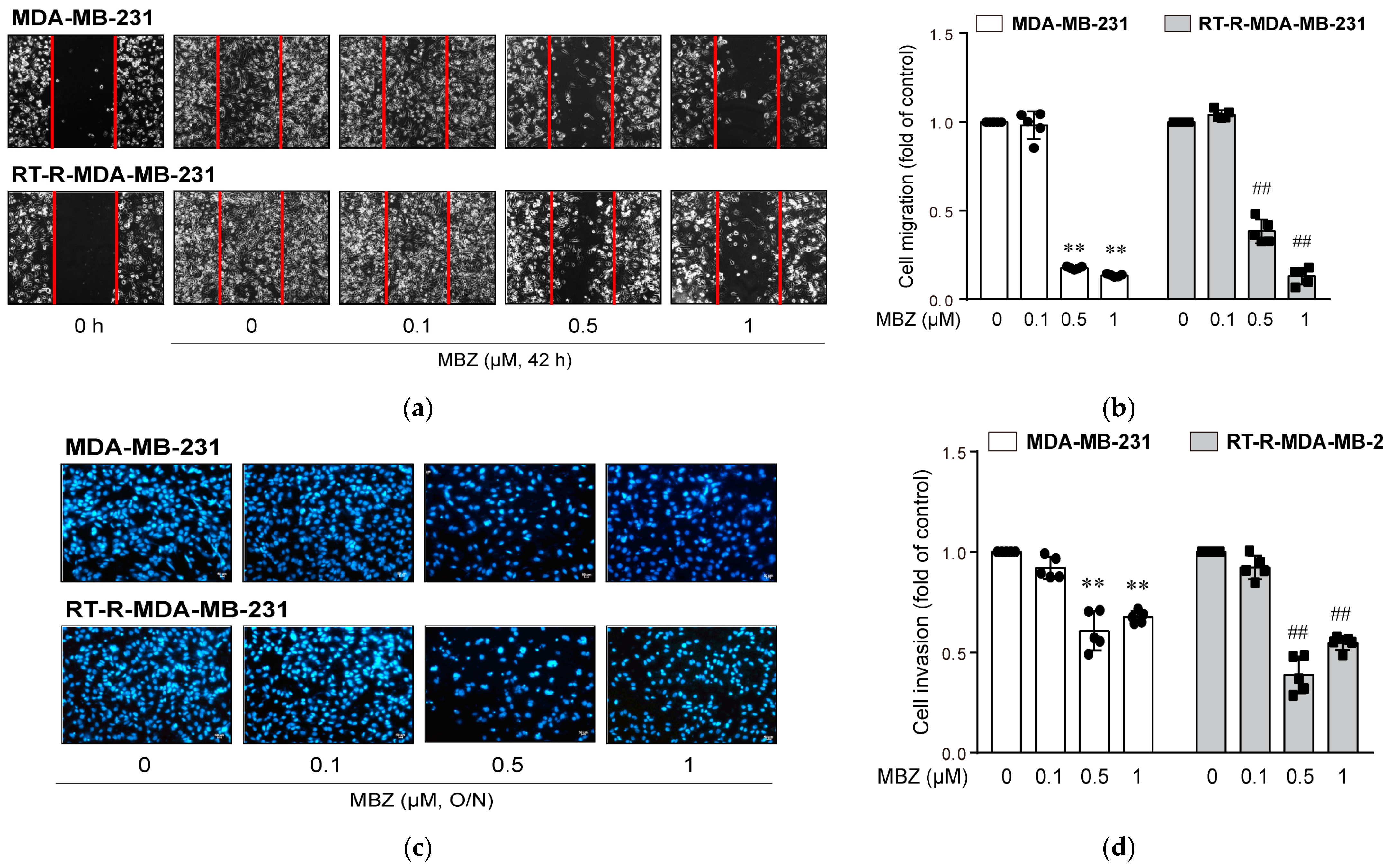 Molecules 26 05118 g005
