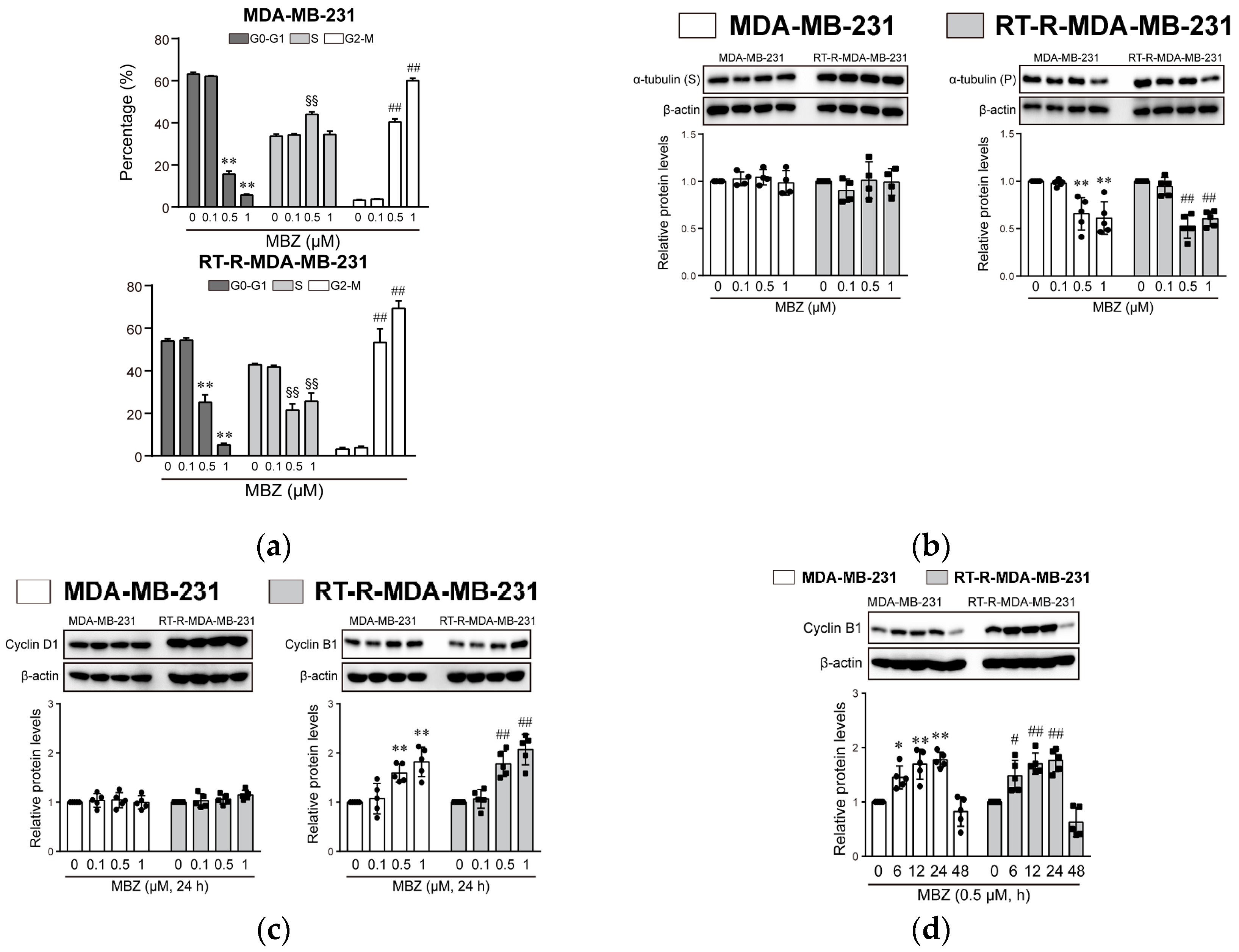 Molecules 26 05118 g006a