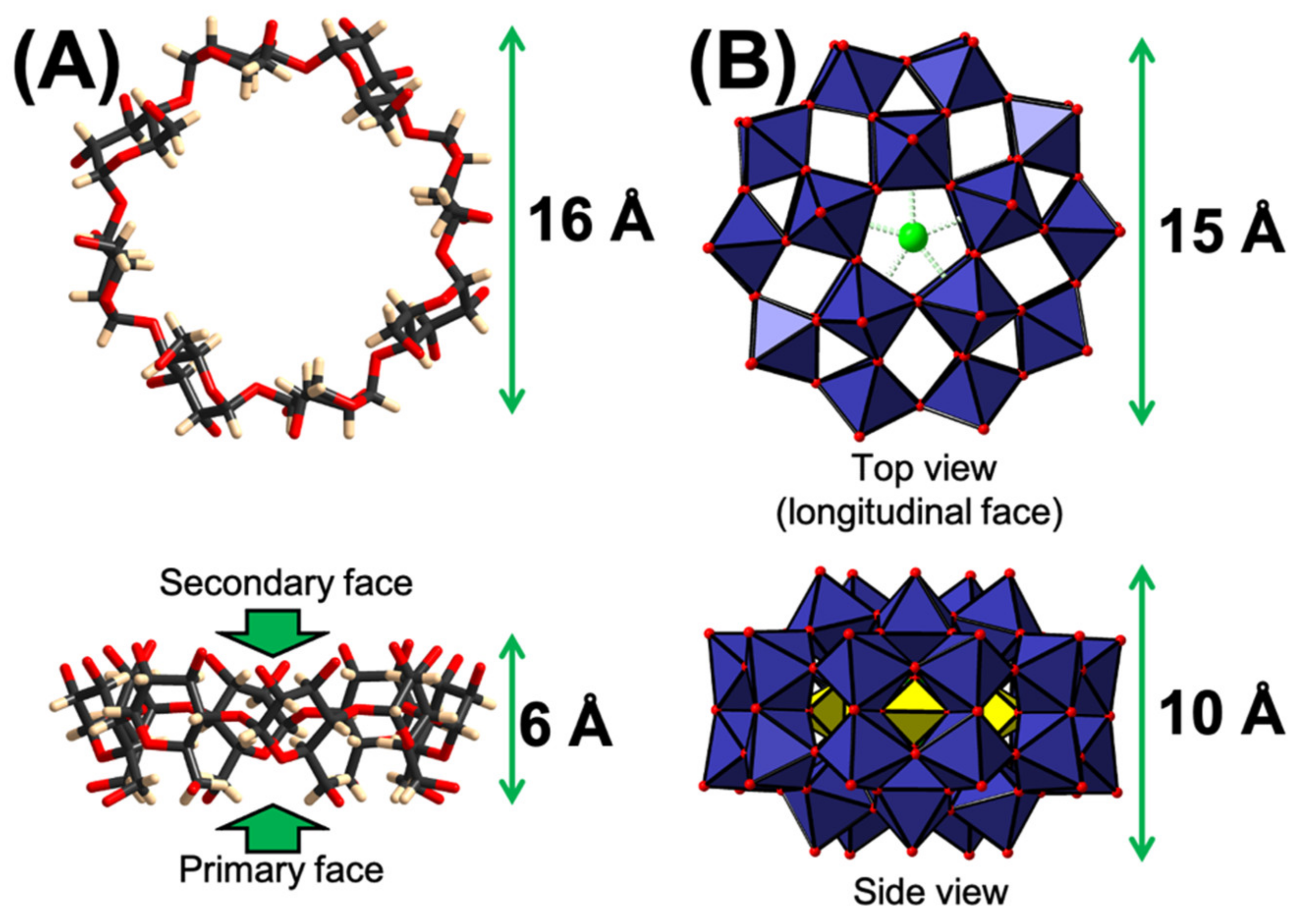 Molecules 26 05126 g001 Molecules 26 05126 g001