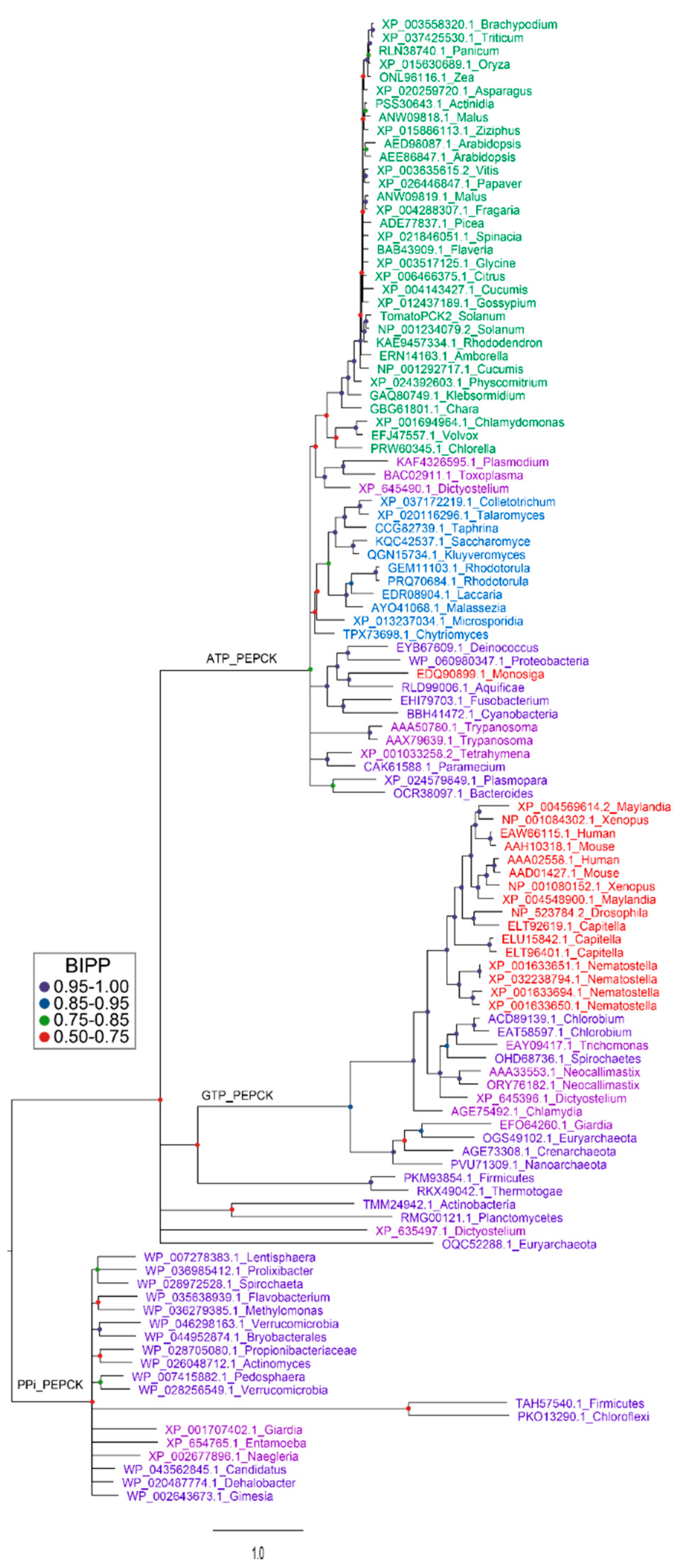 Molecules 26 05129 g005
