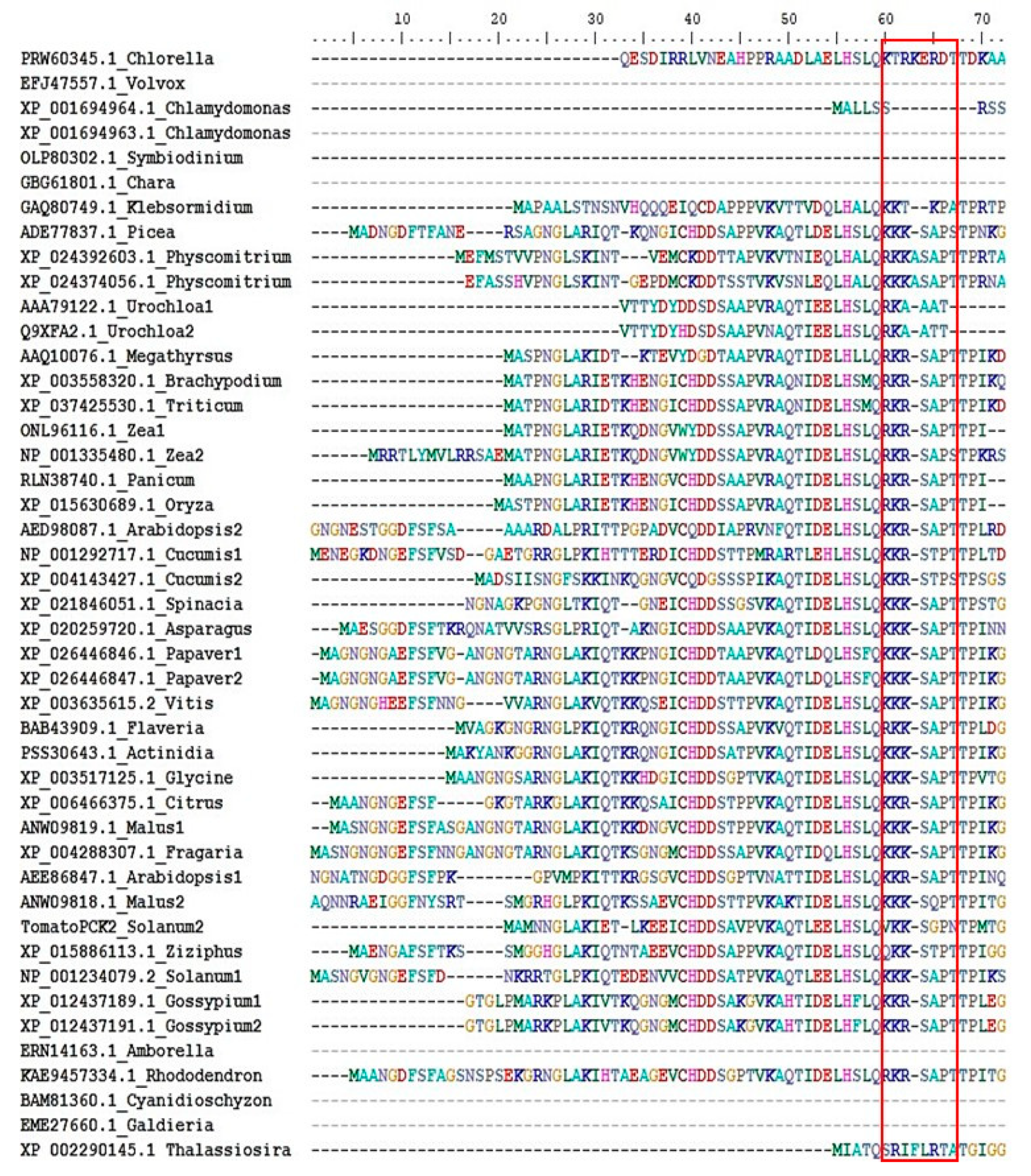 Molecules 26 05129 g006