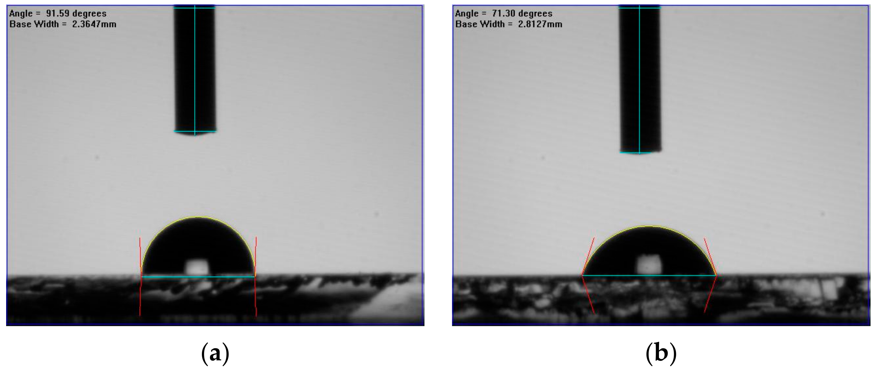 Molecules 26 05133 g005a