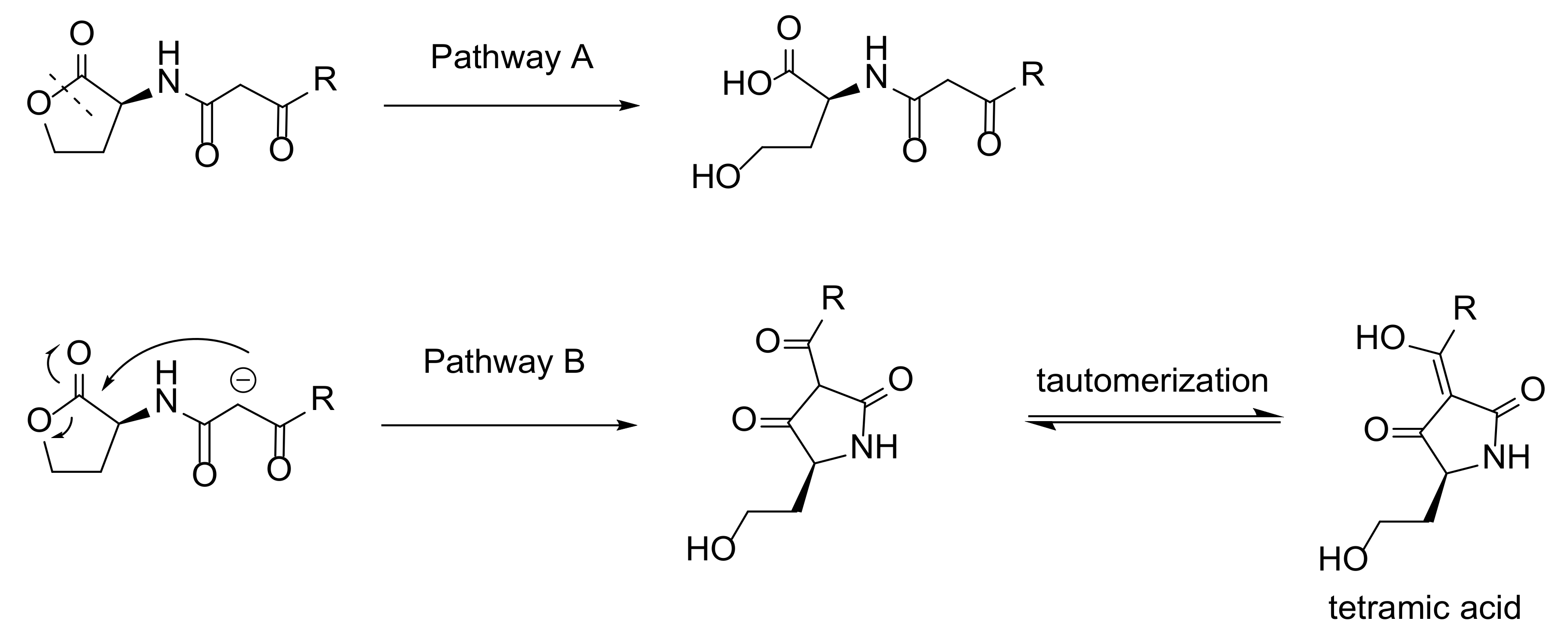 Molecules 26 05135 g002
