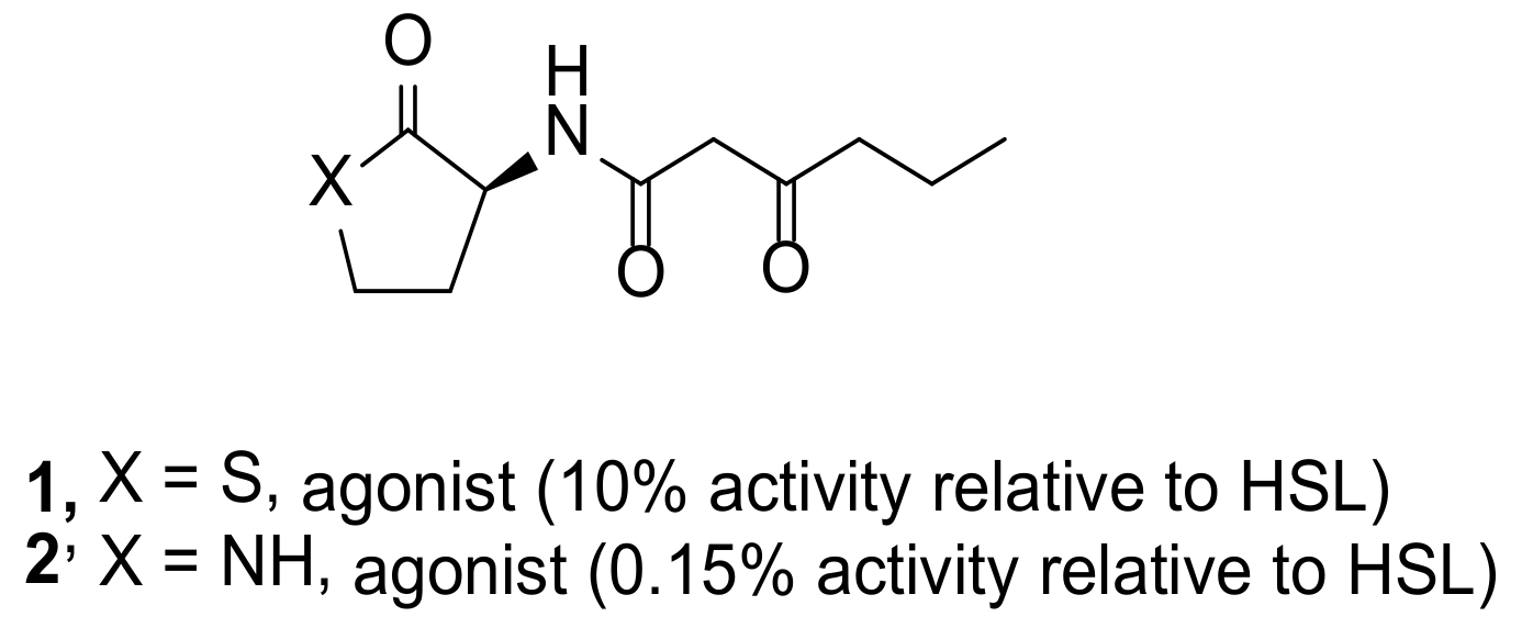 Molecules 26 05135 g003